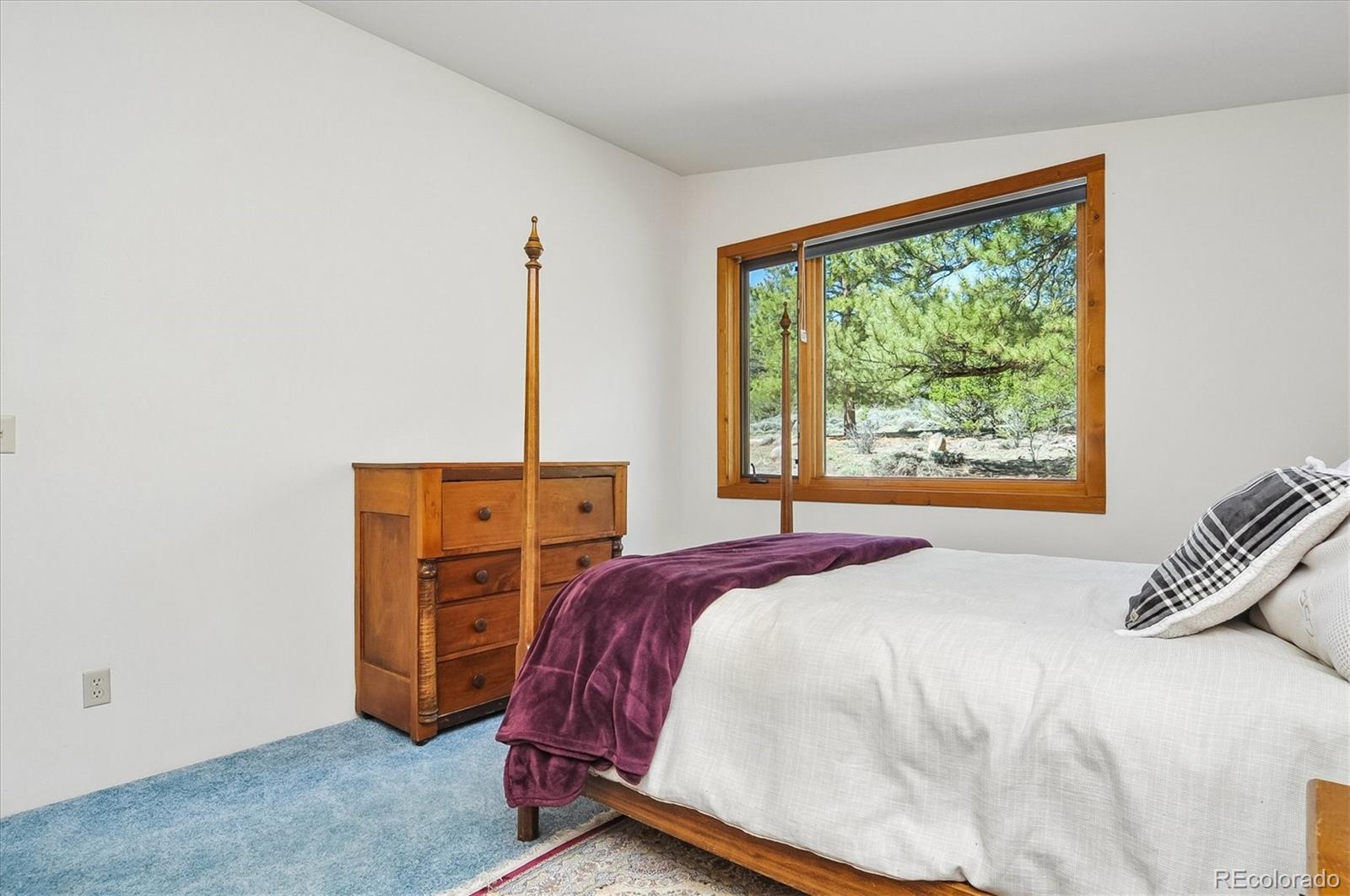 MLS Image #18 for 18480  morrison creek circle,buena vista, Colorado
