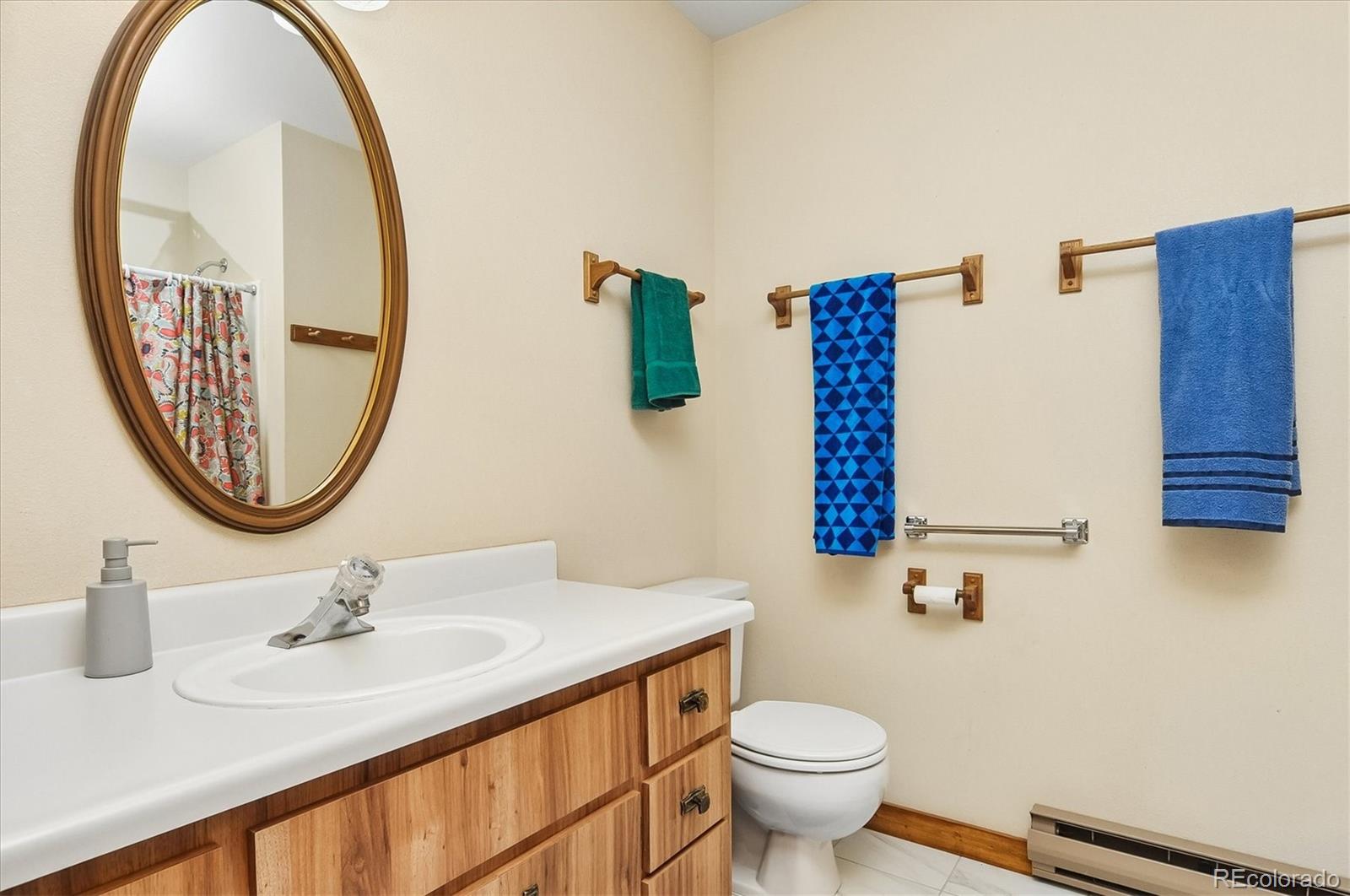 MLS Image #19 for 18480  morrison creek circle,buena vista, Colorado