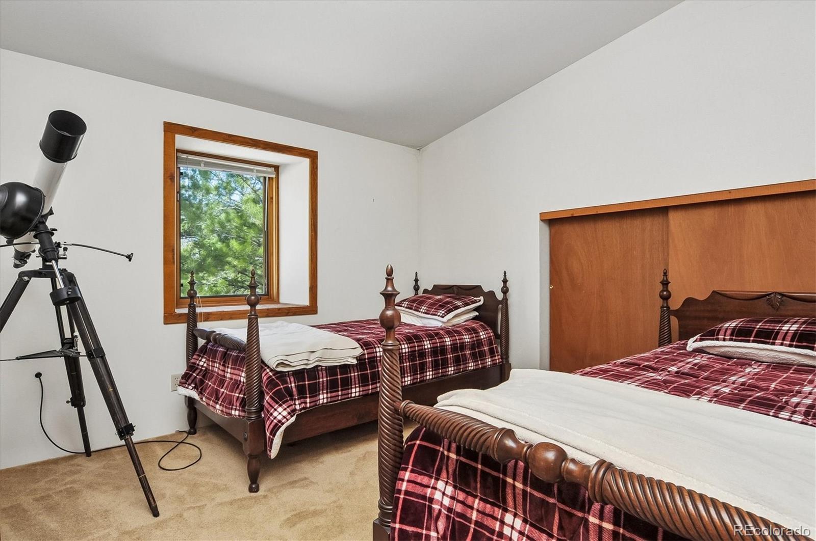 MLS Image #20 for 18480  morrison creek circle,buena vista, Colorado