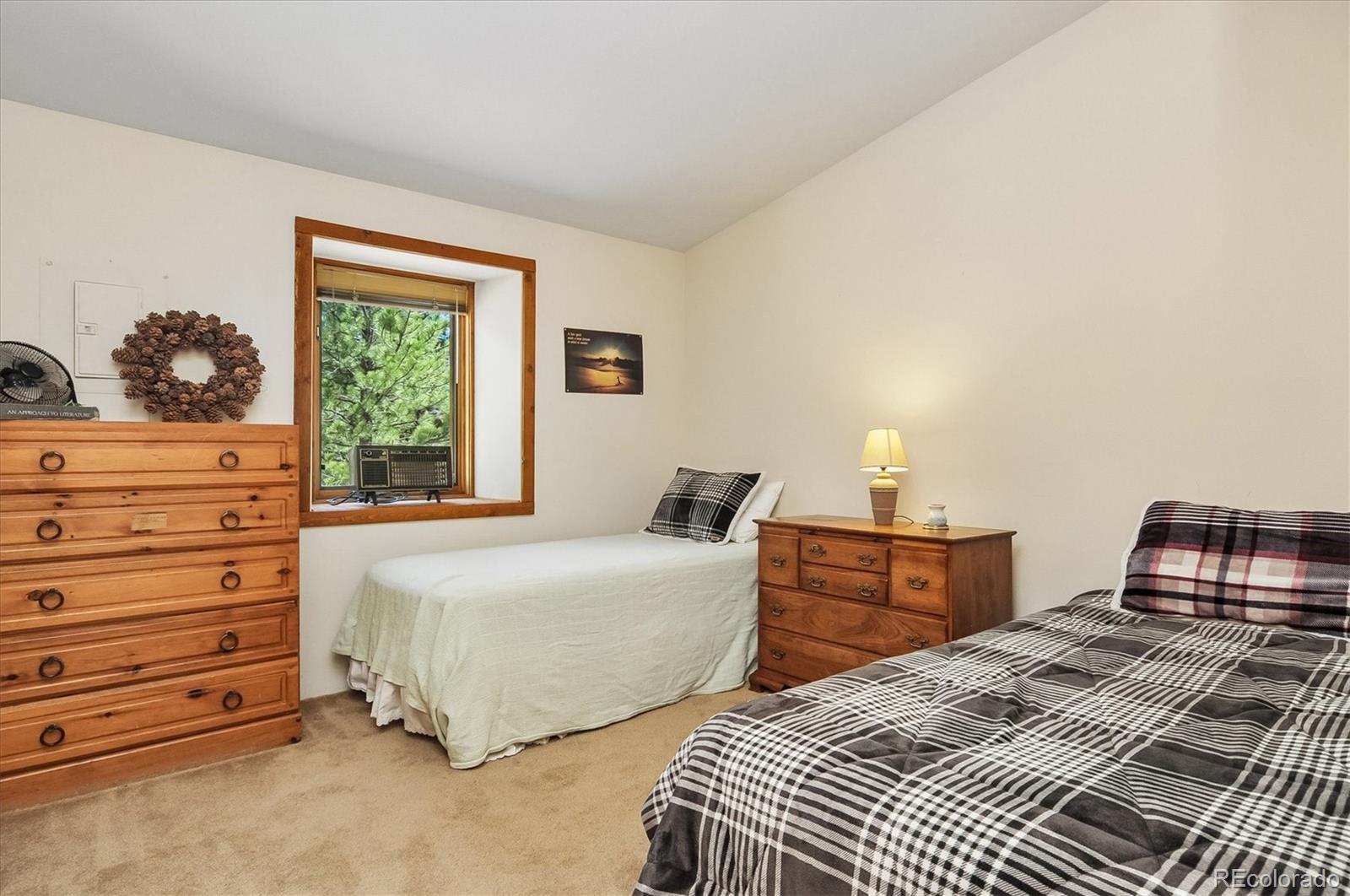 MLS Image #22 for 18480  morrison creek circle,buena vista, Colorado