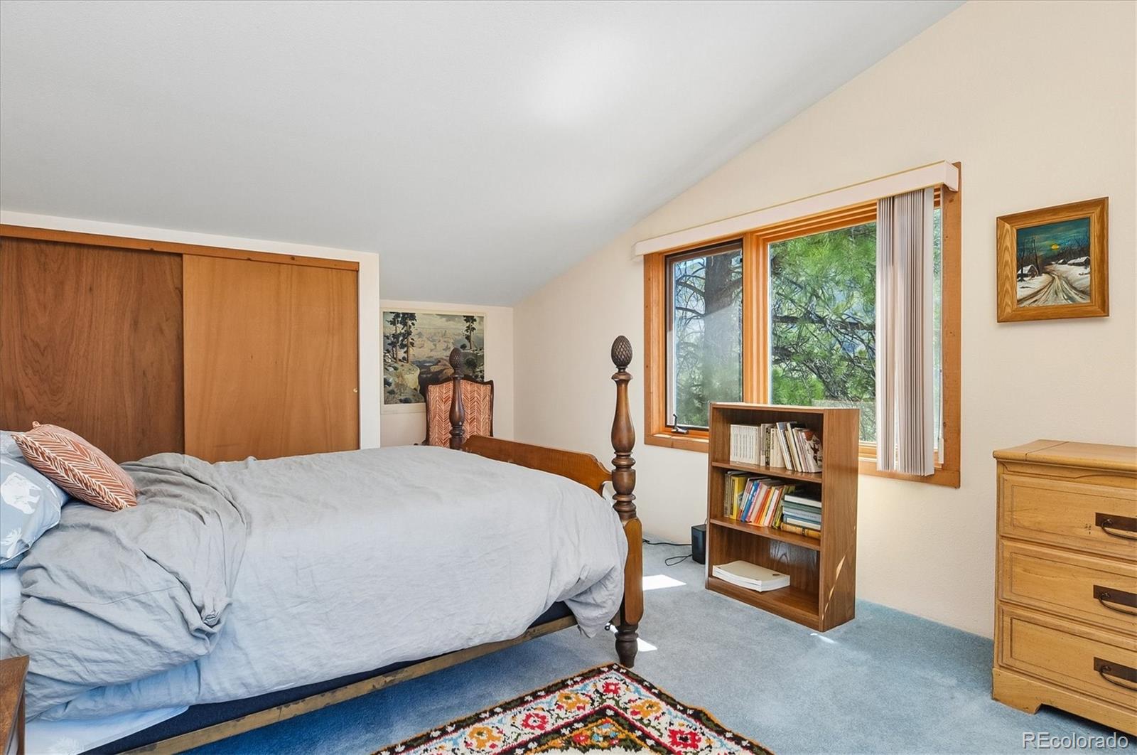MLS Image #25 for 18480  morrison creek circle,buena vista, Colorado
