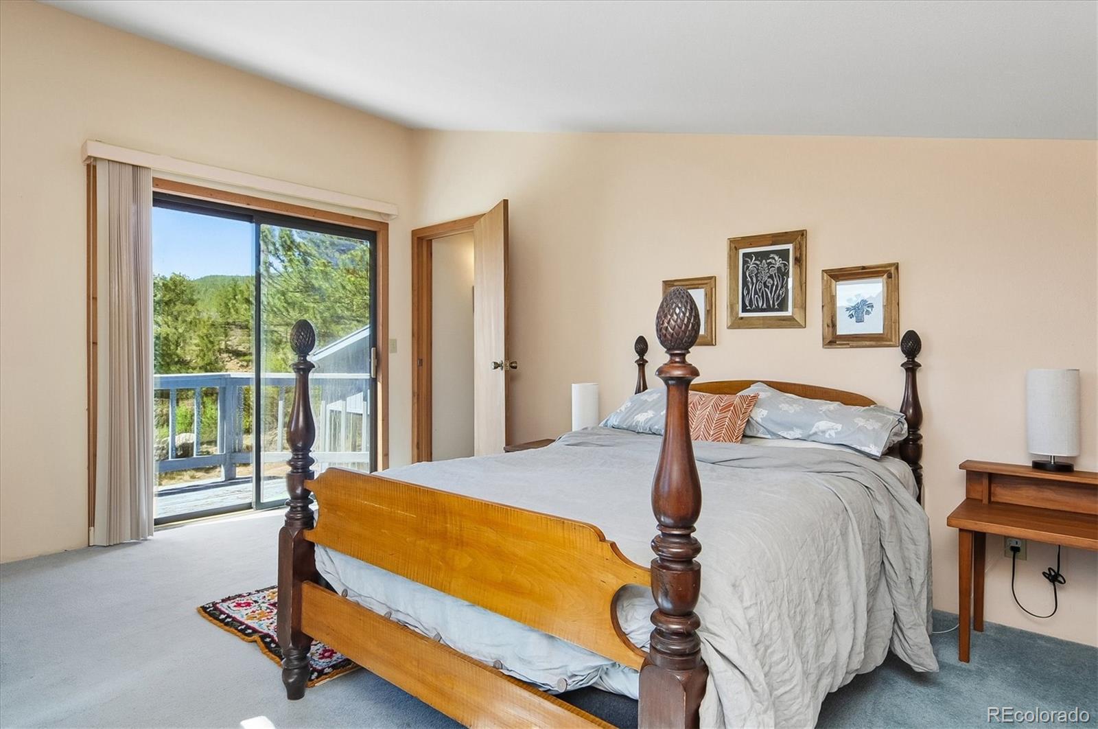 MLS Image #26 for 18480  morrison creek circle,buena vista, Colorado