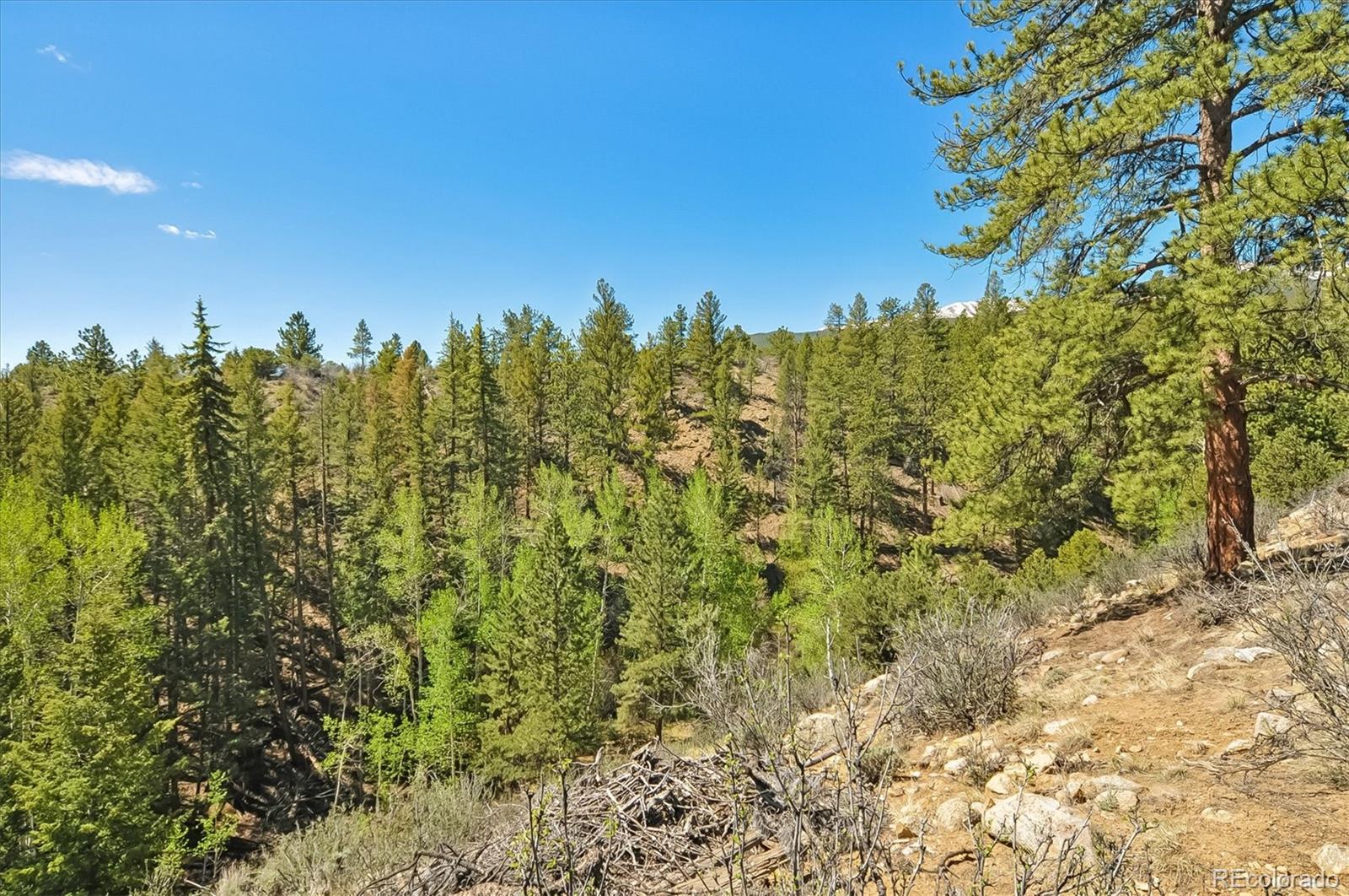 MLS Image #37 for 18480  morrison creek circle,buena vista, Colorado