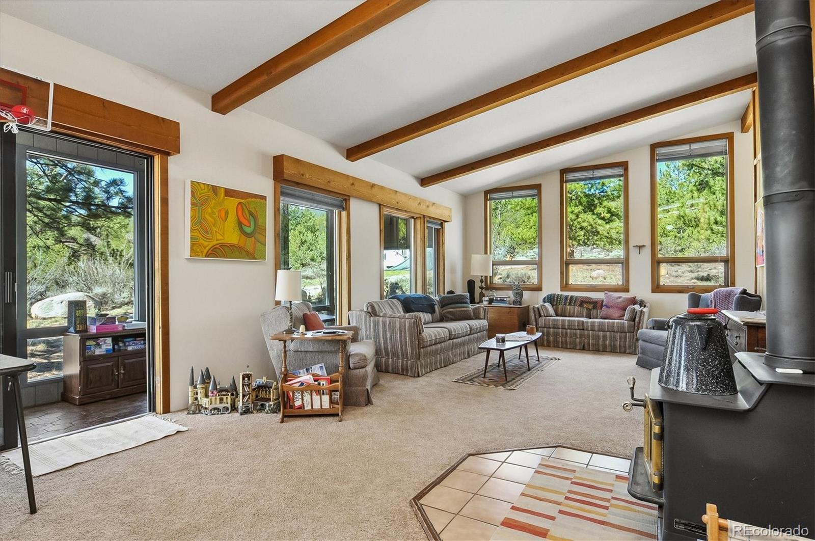 MLS Image #5 for 18480  morrison creek circle,buena vista, Colorado