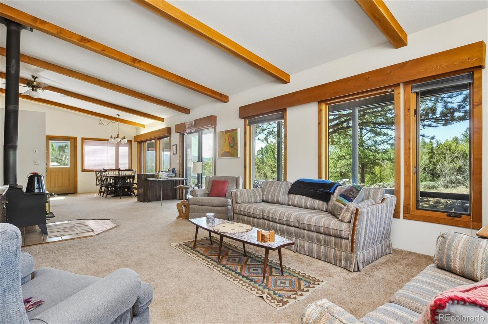 MLS Image #7 for 18480  morrison creek circle,buena vista, Colorado