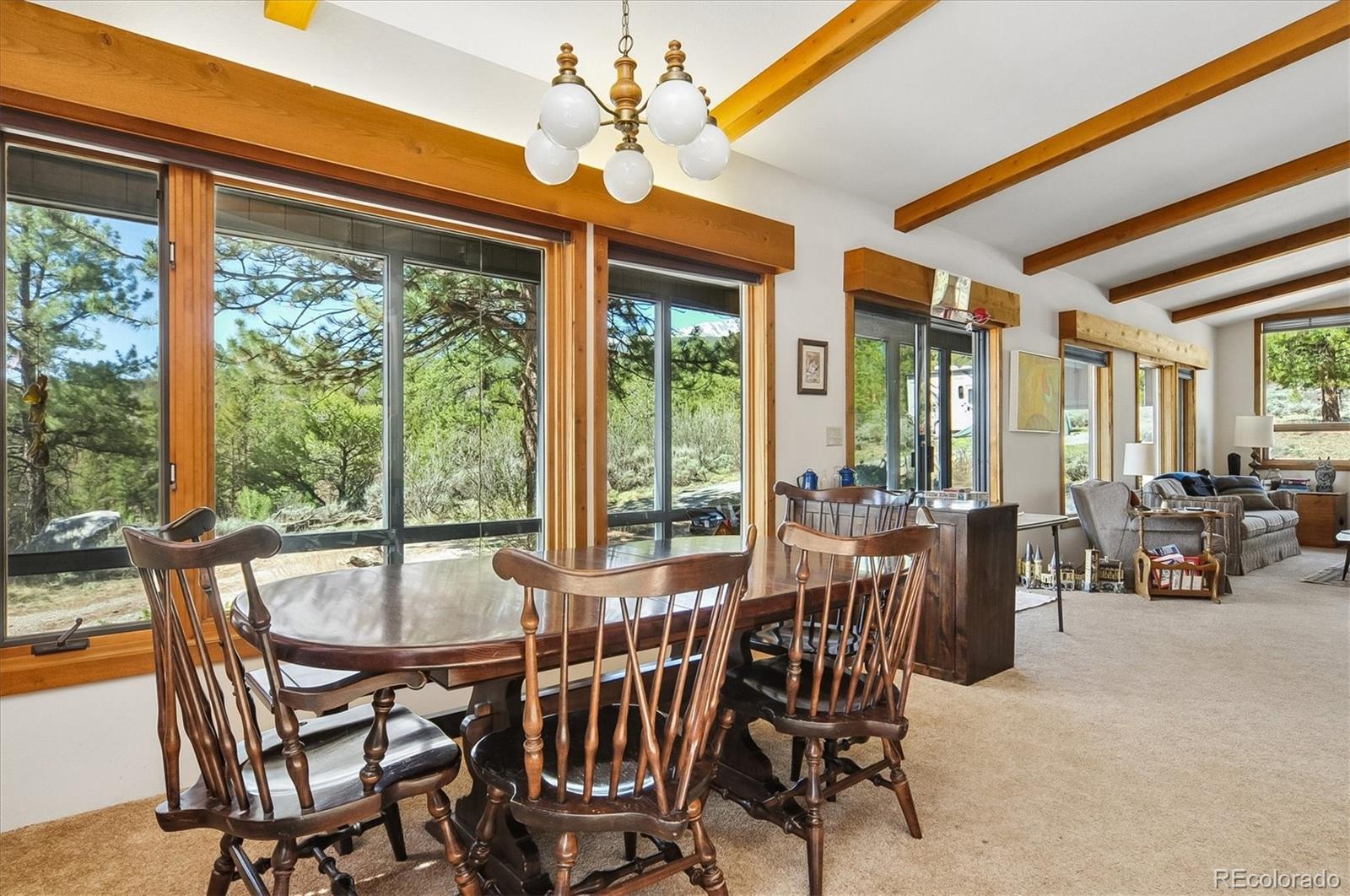 MLS Image #8 for 18480  morrison creek circle,buena vista, Colorado