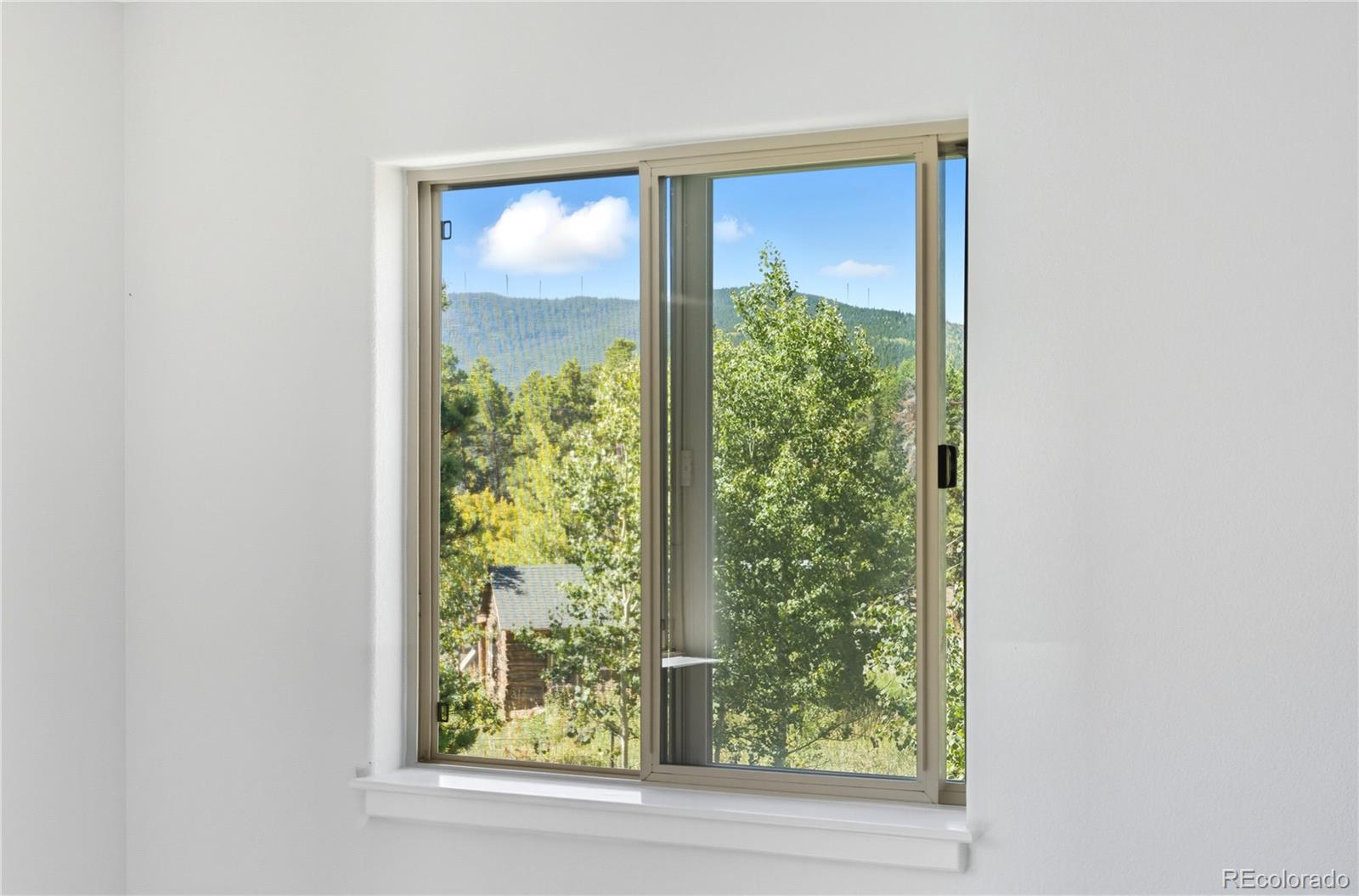 MLS Image #26 for 4  gap road,black hawk, Colorado