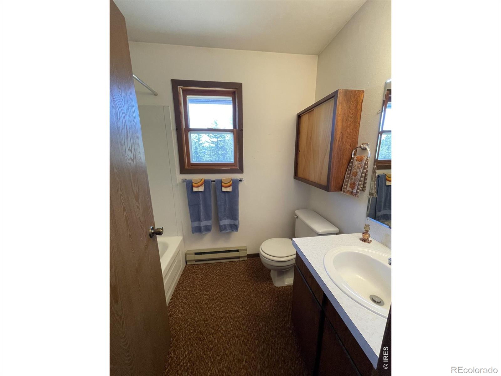 MLS Image #15 for 194  mattapony way,red feather lakes, Colorado