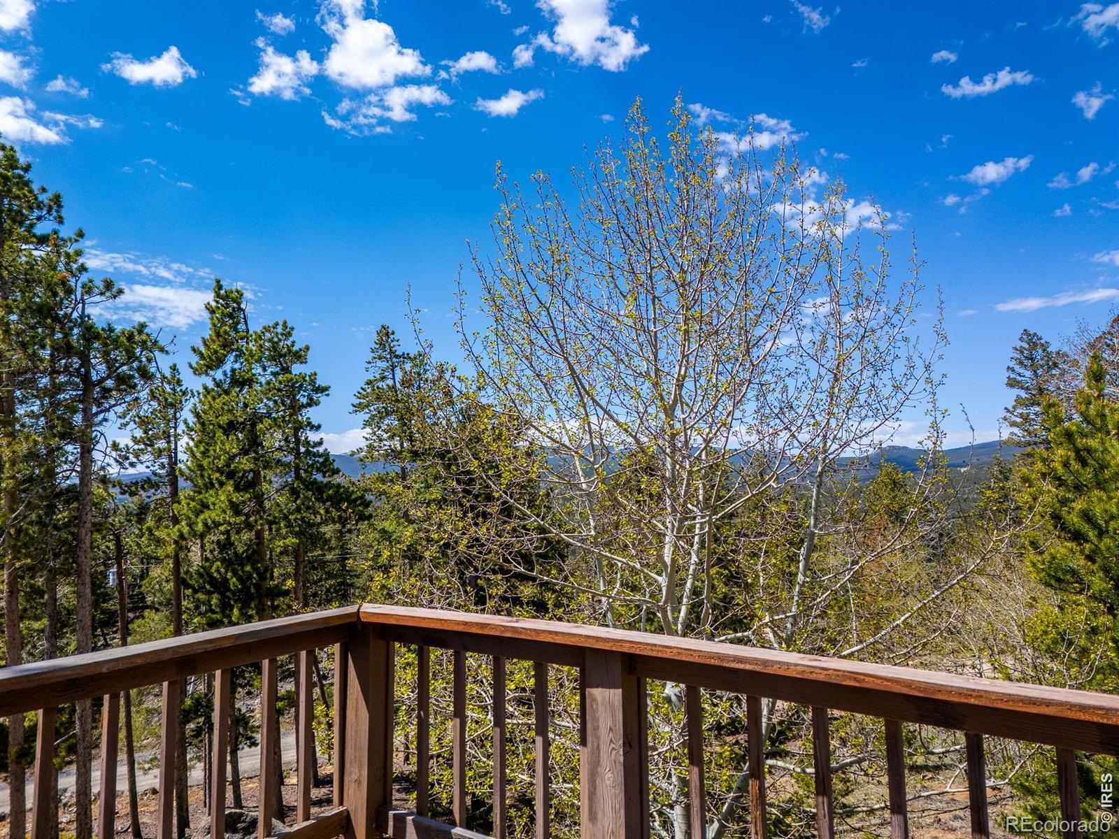 MLS Image #34 for 194  mattapony way,red feather lakes, Colorado
