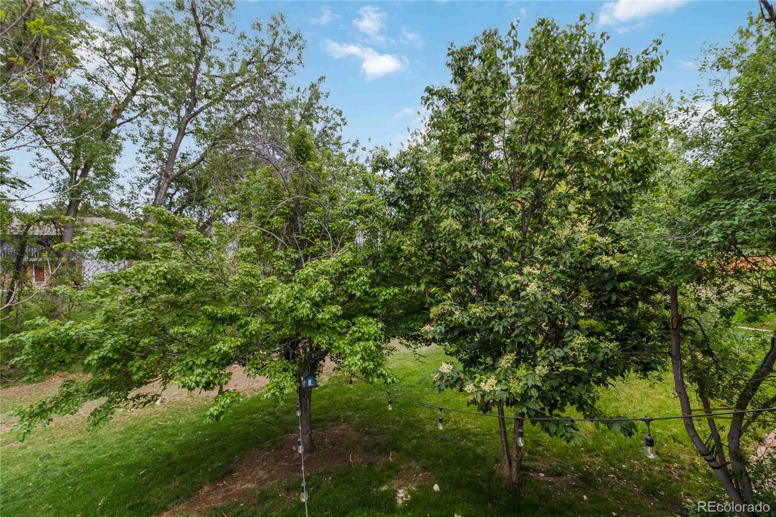 MLS Image #34 for 391  upham street,lakewood, Colorado