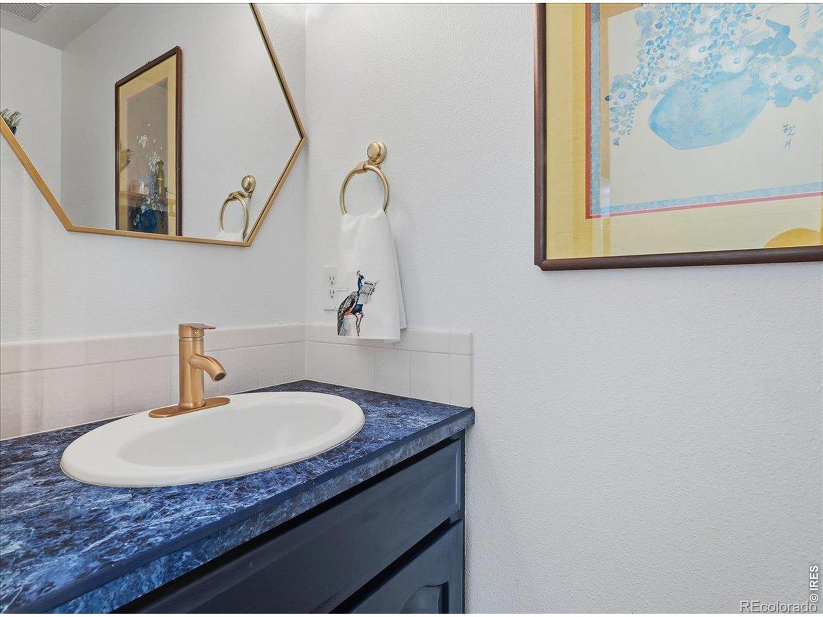 MLS Image #9 for 3846  cardiff court,loveland, Colorado