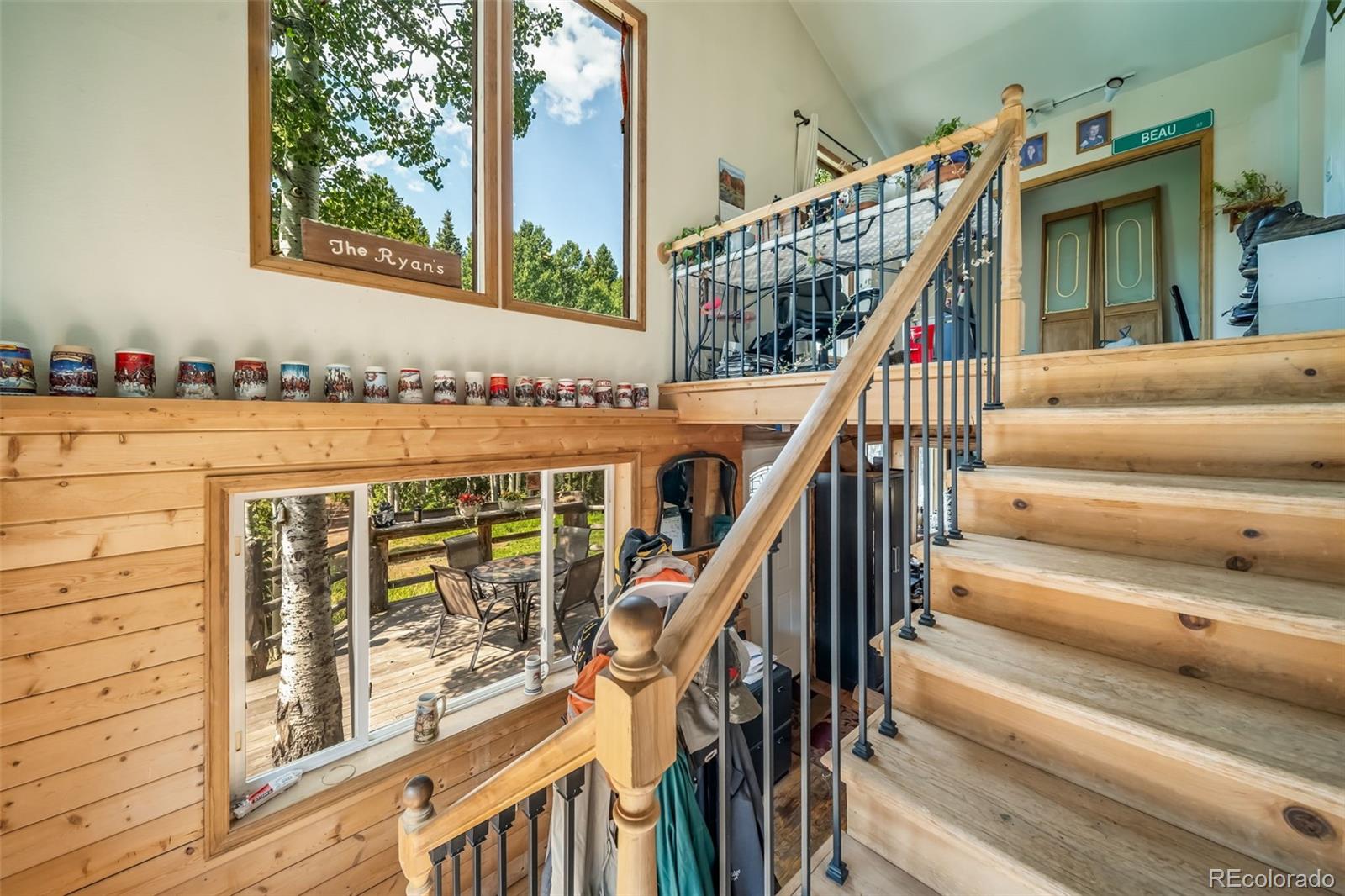 MLS Image #14 for 8774  spring drive,conifer, Colorado