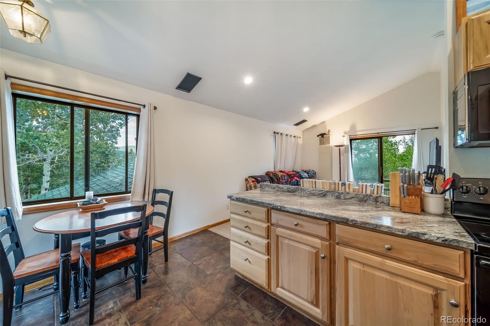 MLS Image #20 for 8774  spring drive,conifer, Colorado