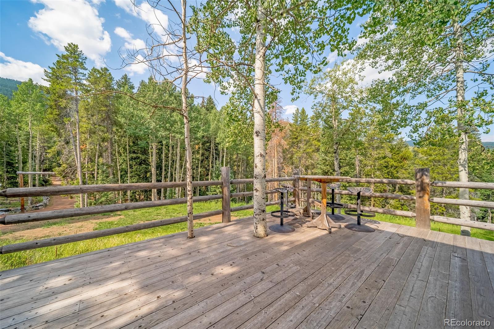 MLS Image #3 for 8774  spring drive,conifer, Colorado