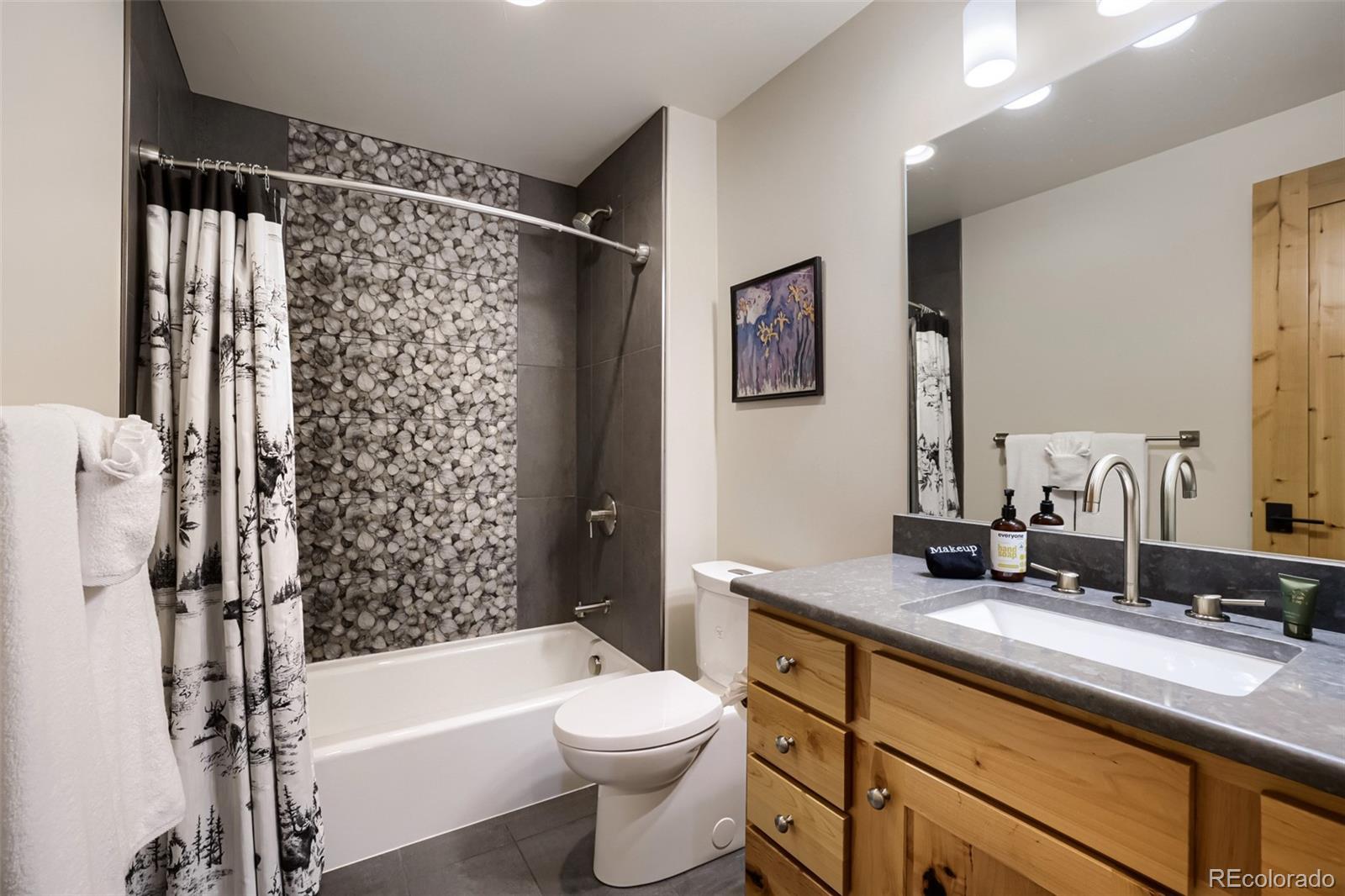 MLS Image #22 for 836  maryland creek road,silverthorne, Colorado