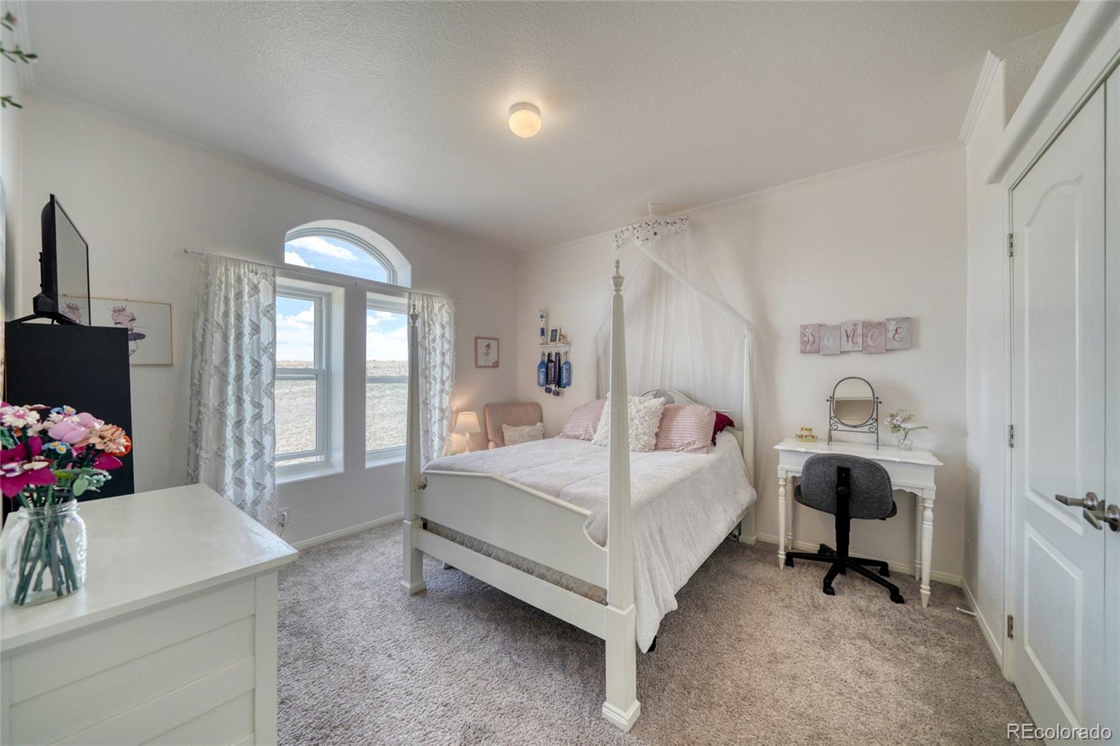 MLS Image #13 for 50374  hwy 69 ,westcliffe, Colorado