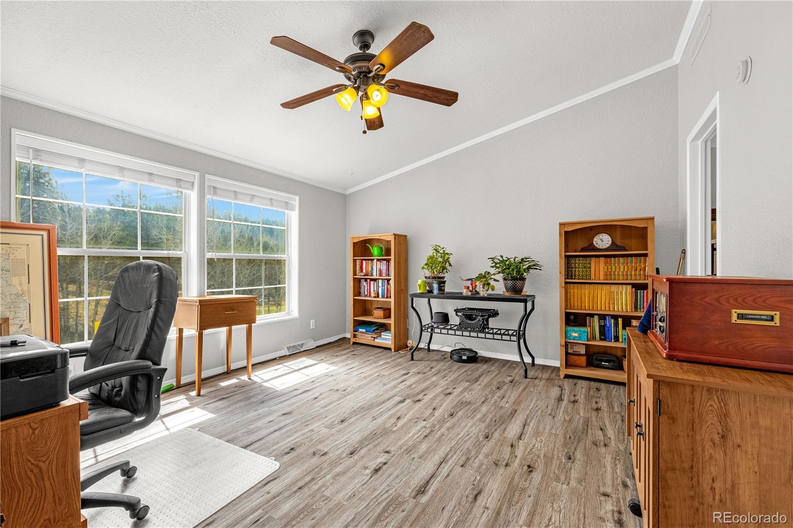 MLS Image #11 for 275  mohave creek trail,florissant, Colorado