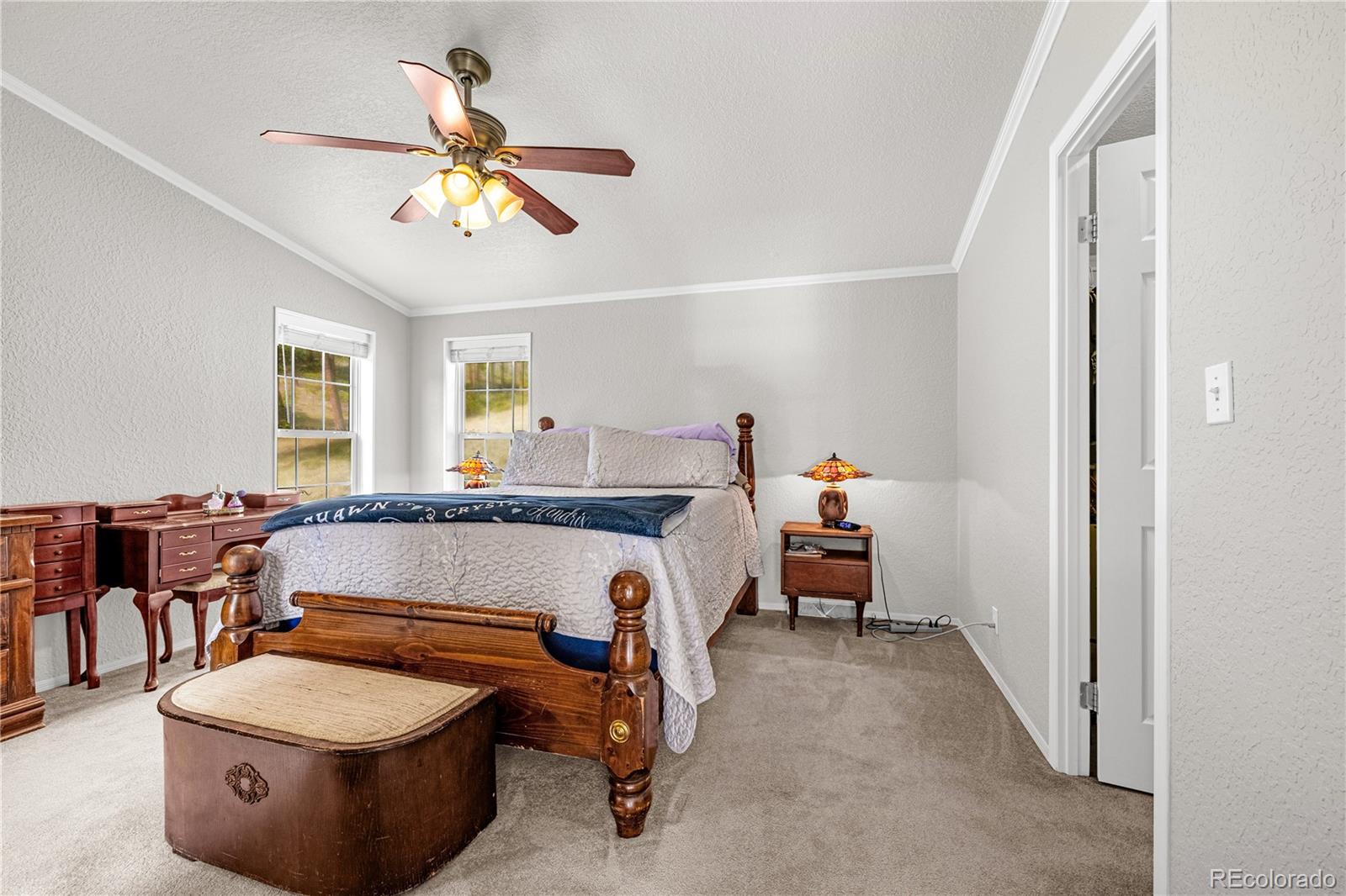MLS Image #12 for 275  mohave creek trail,florissant, Colorado