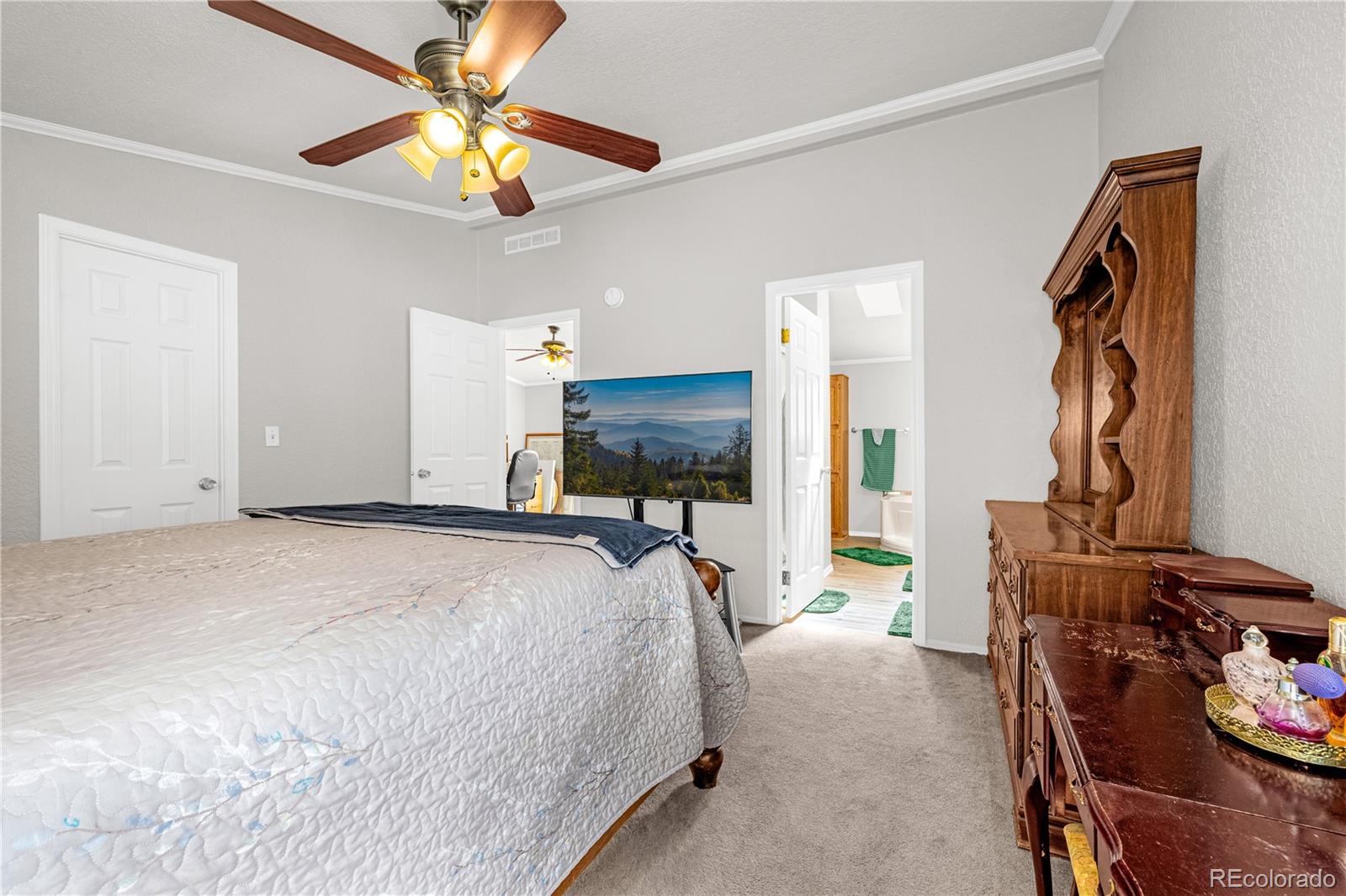 MLS Image #13 for 275  mohave creek trail,florissant, Colorado