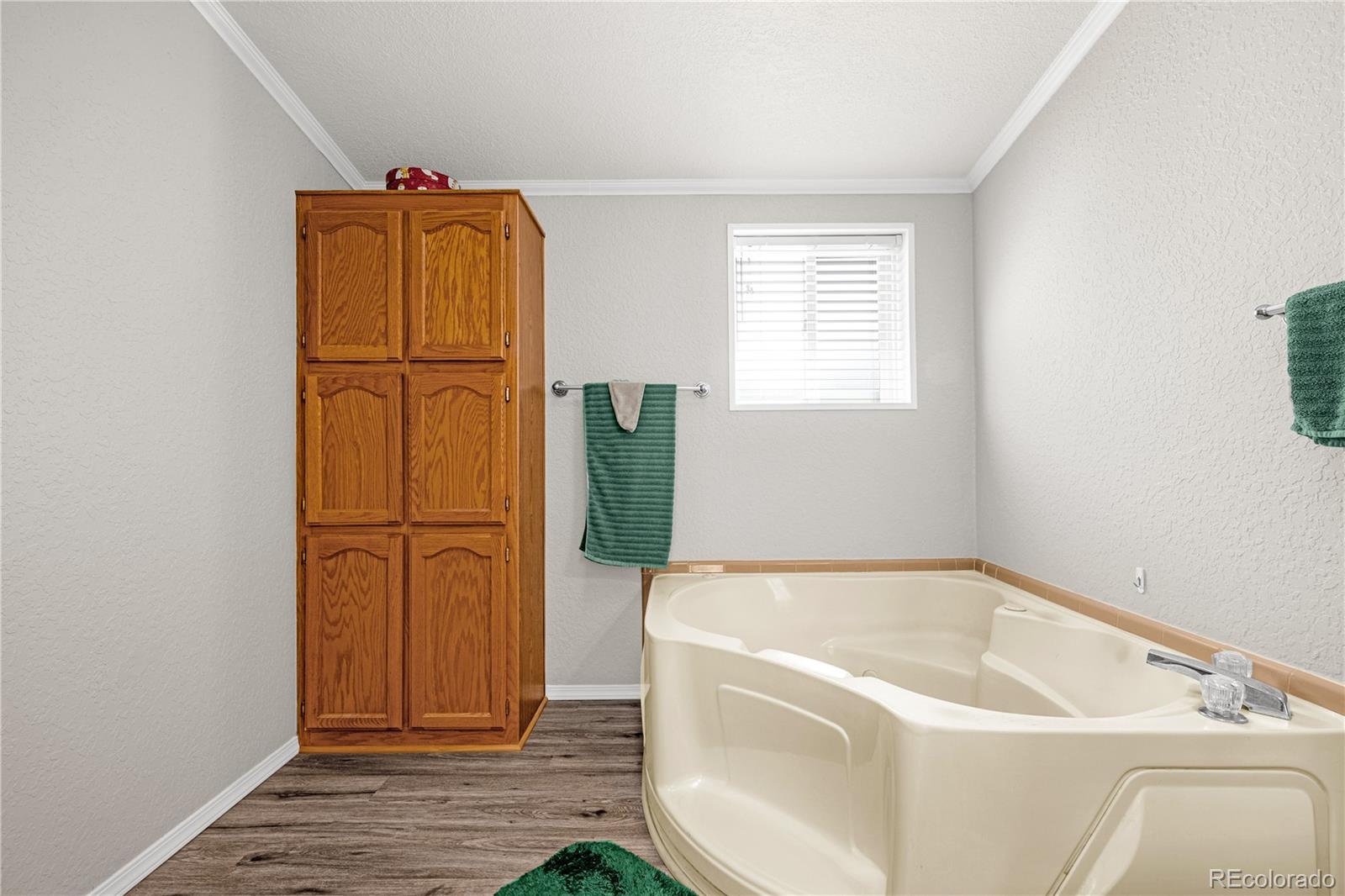 MLS Image #15 for 275  mohave creek trail,florissant, Colorado