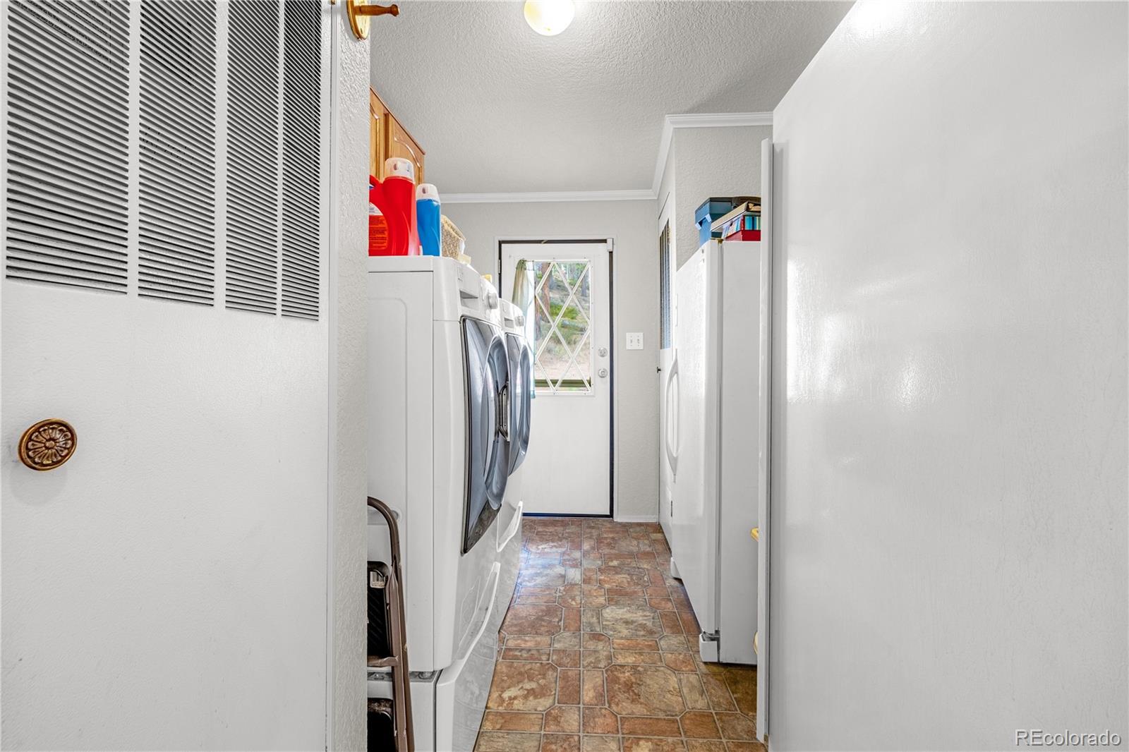 MLS Image #17 for 275  mohave creek trail,florissant, Colorado