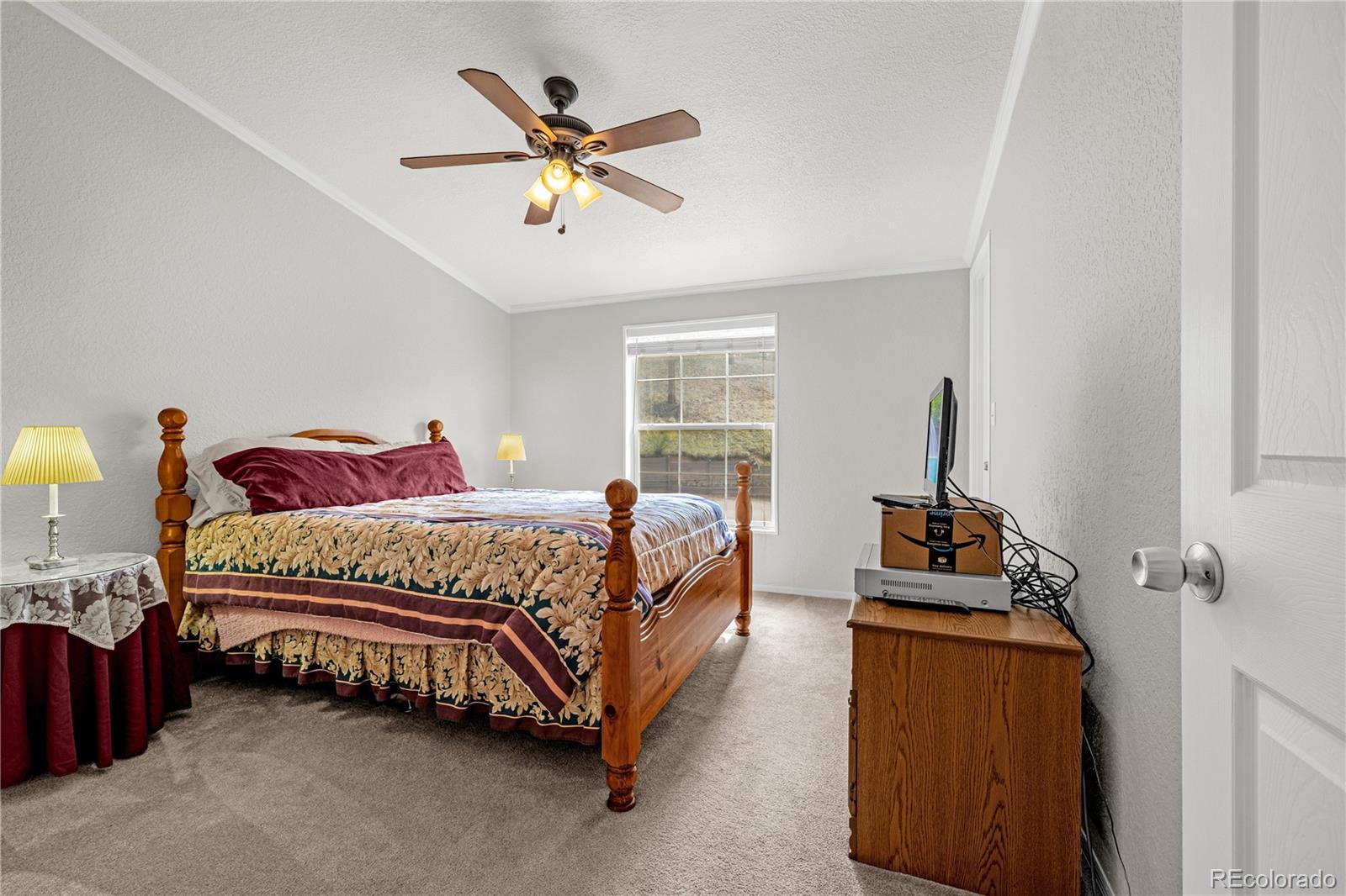 MLS Image #18 for 275  mohave creek trail,florissant, Colorado