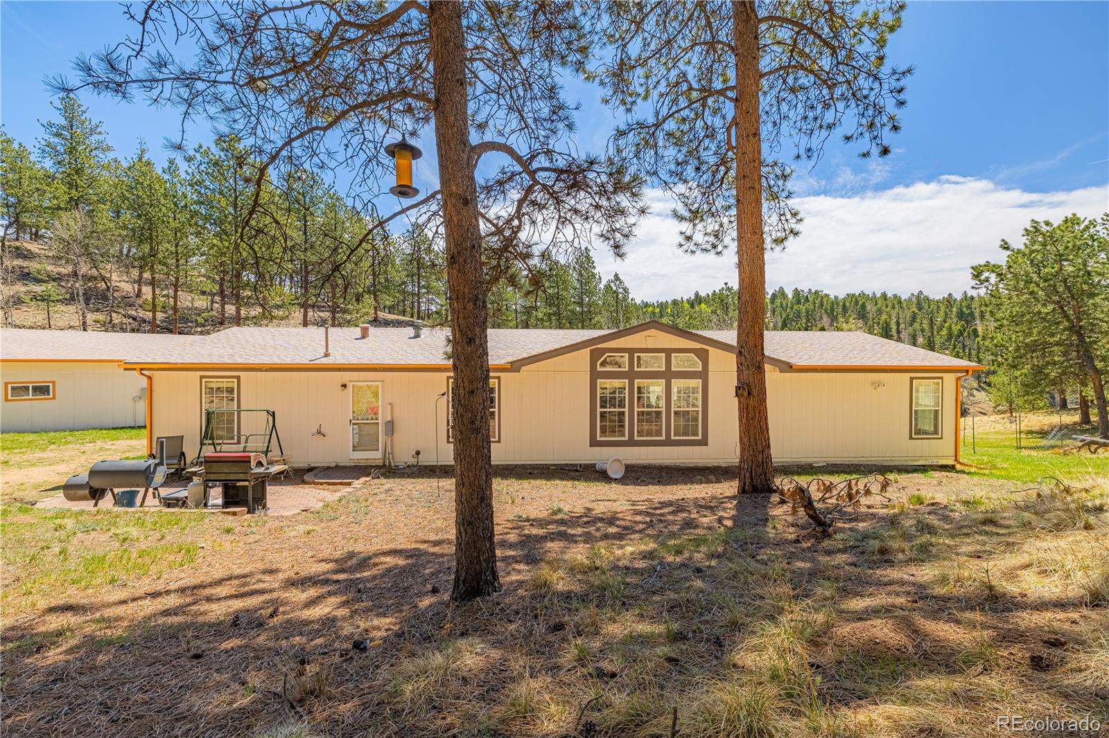 MLS Image #21 for 275  mohave creek trail,florissant, Colorado