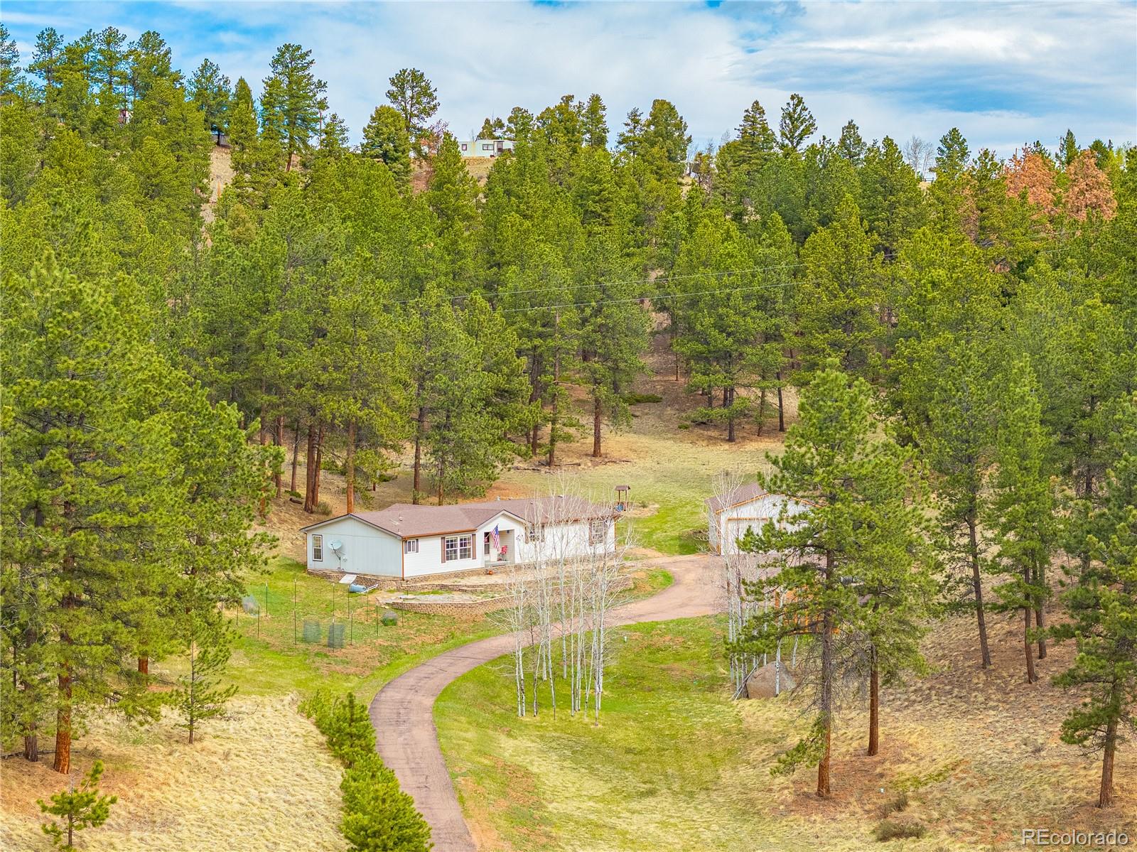 MLS Image #22 for 275  mohave creek trail,florissant, Colorado