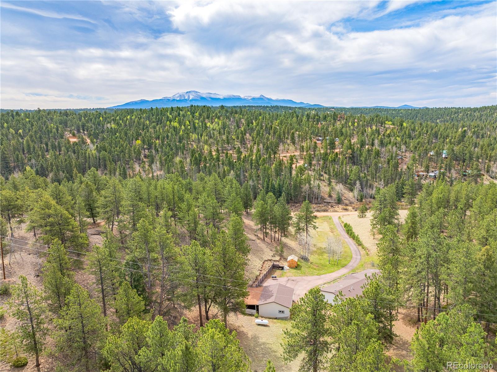 MLS Image #27 for 275  mohave creek trail,florissant, Colorado