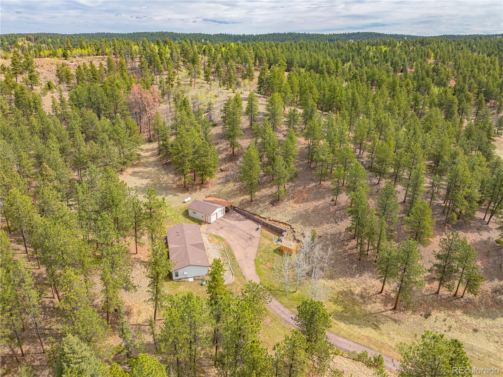 MLS Image #28 for 275  mohave creek trail,florissant, Colorado
