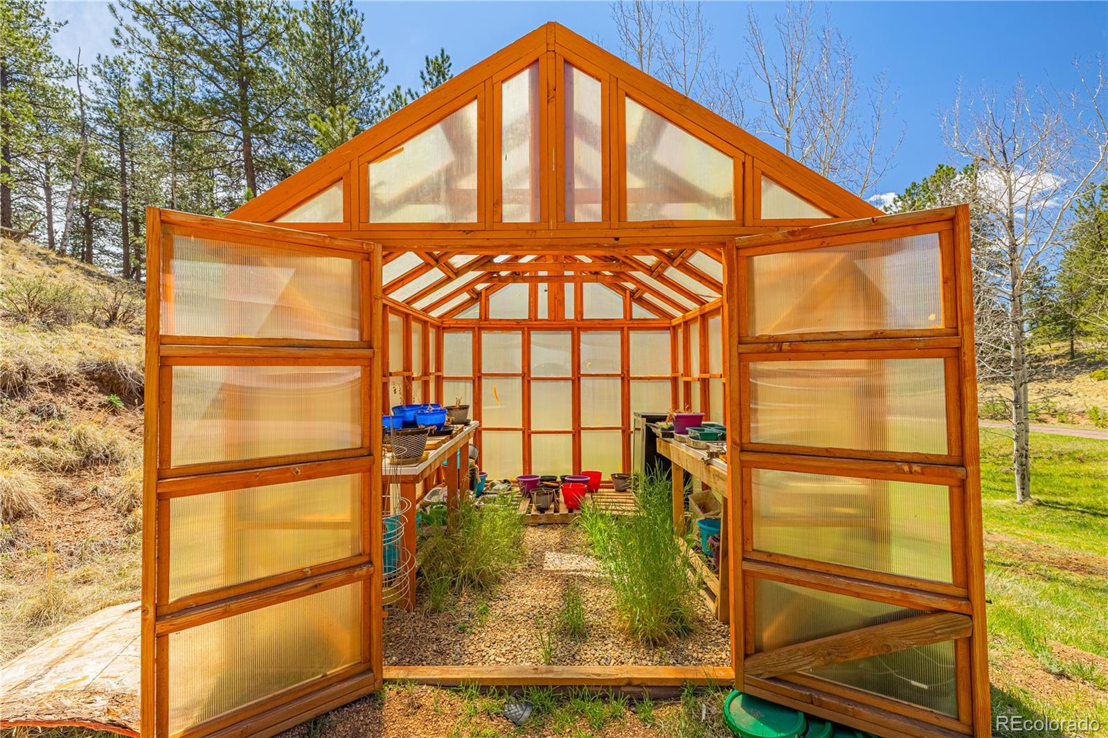 MLS Image #3 for 275  mohave creek trail,florissant, Colorado