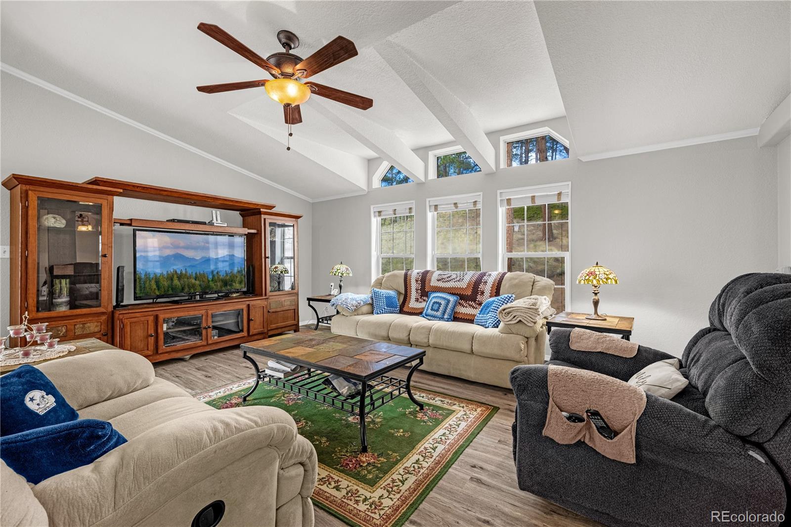 MLS Image #4 for 275  mohave creek trail,florissant, Colorado