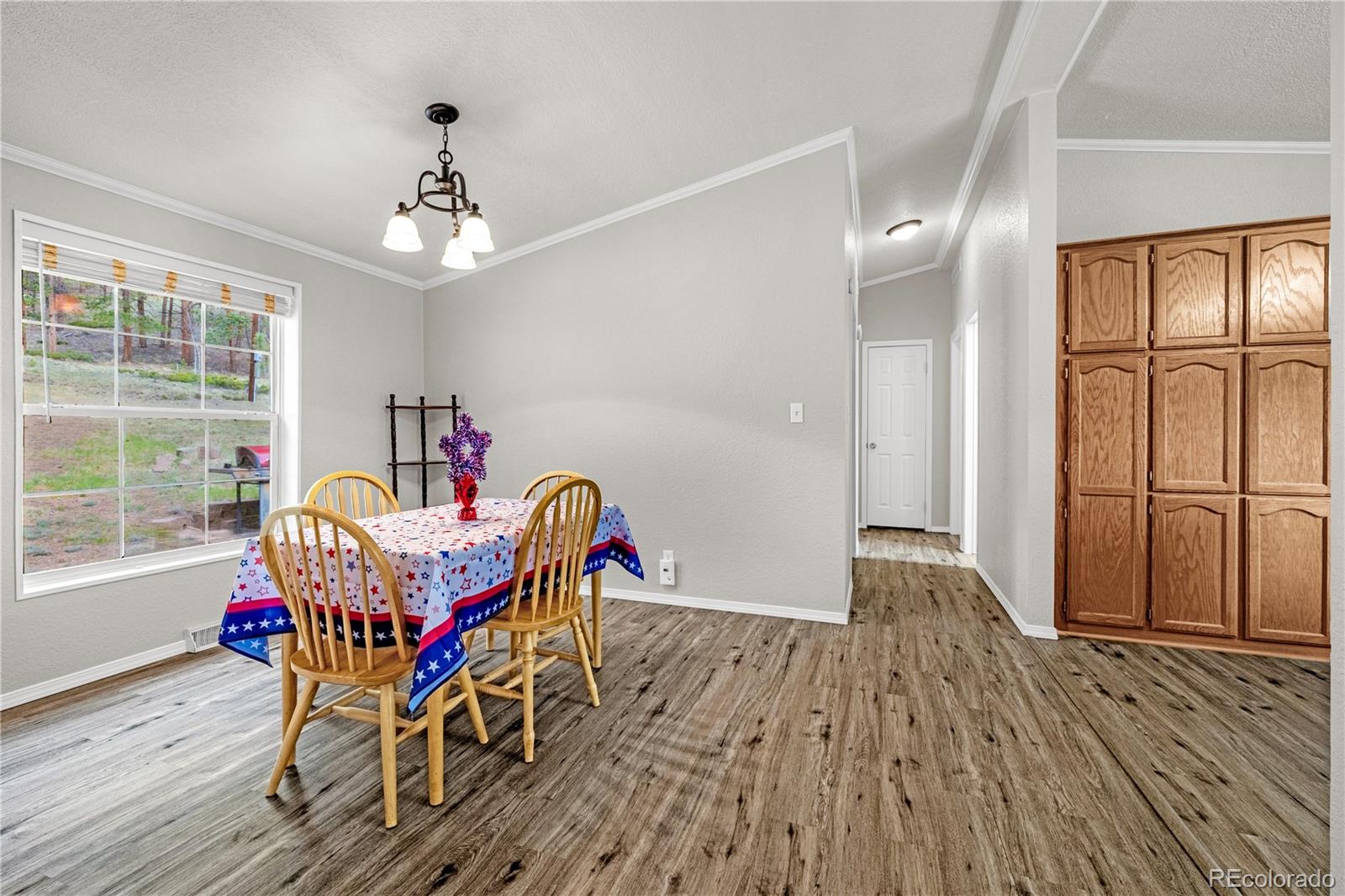MLS Image #7 for 275  mohave creek trail,florissant, Colorado