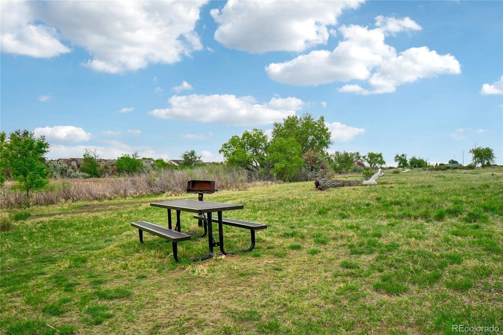MLS Image #27 for 1837  grays peak drive,loveland, Colorado