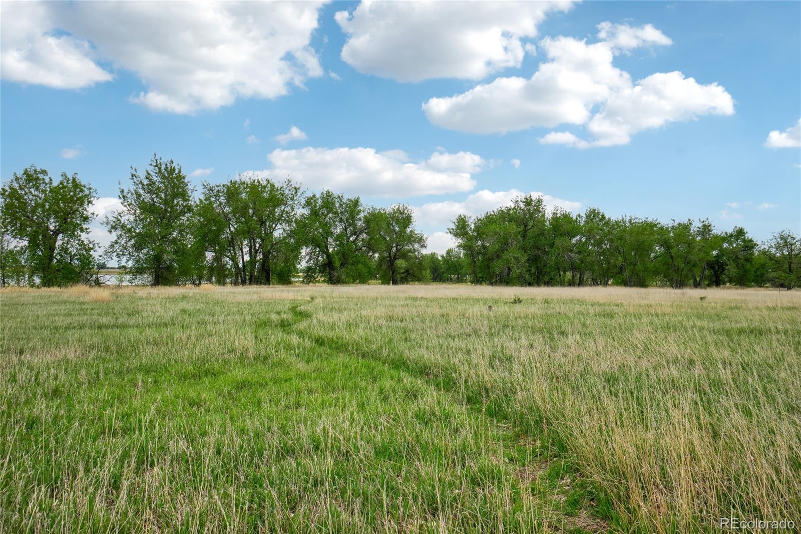MLS Image #29 for 1837  grays peak drive,loveland, Colorado