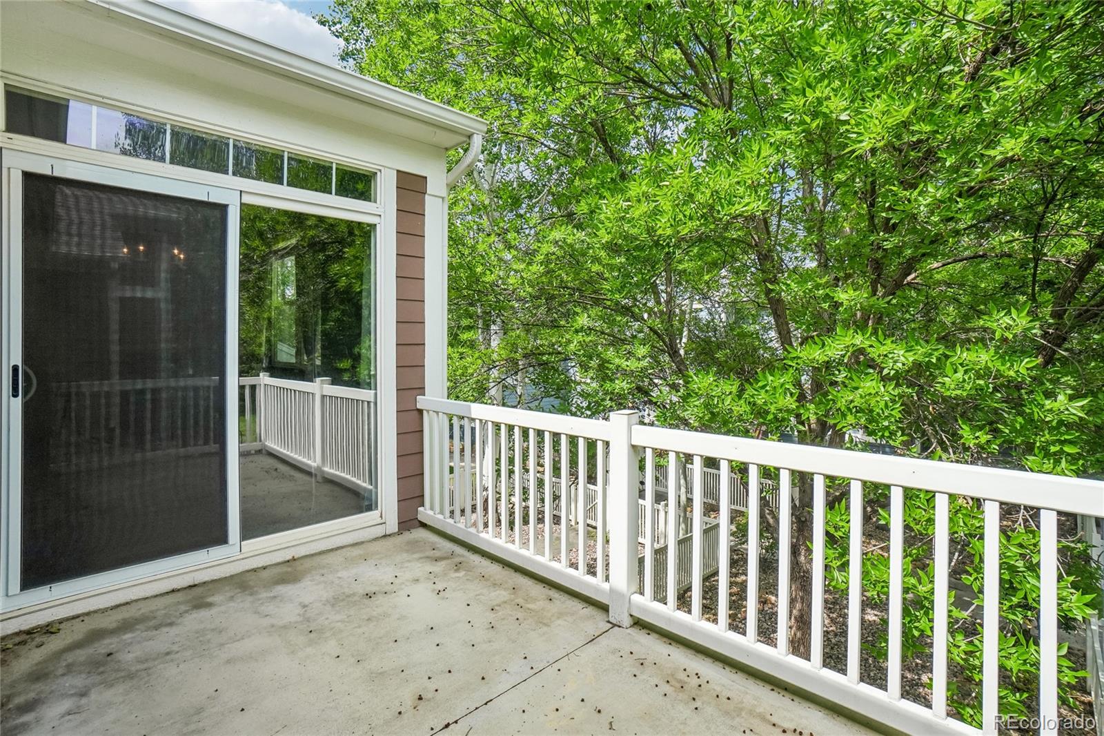 MLS Image #6 for 1837  grays peak drive,loveland, Colorado