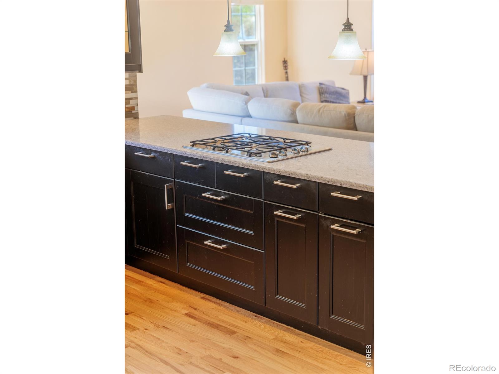 MLS Image #19 for 2513  falcon drive,longmont, Colorado