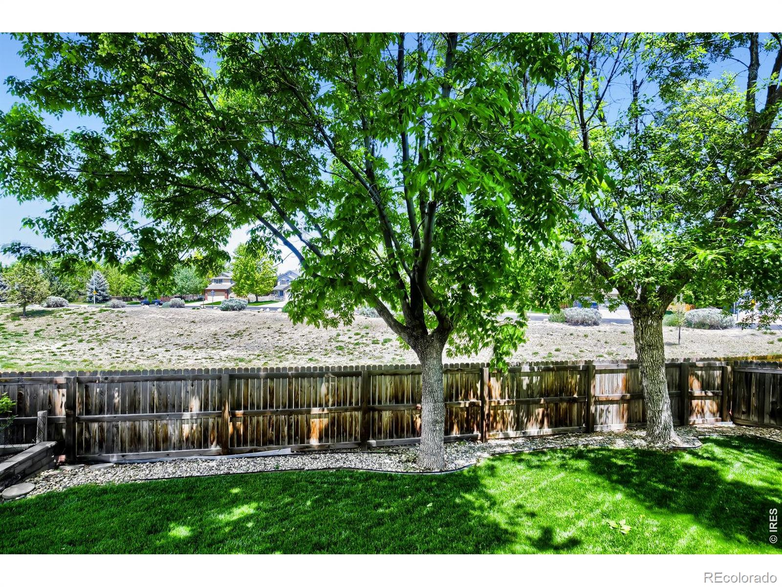 MLS Image #24 for 1512  willowbrook drive,longmont, Colorado
