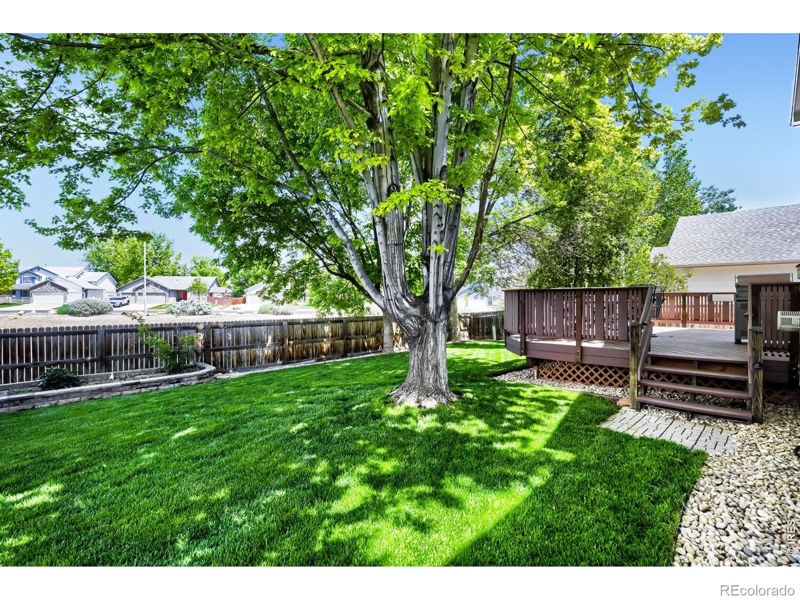 MLS Image #26 for 1512  willowbrook drive,longmont, Colorado
