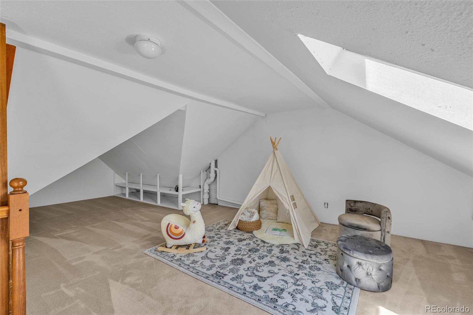 MLS Image #20 for 918  magnolia street,denver, Colorado
