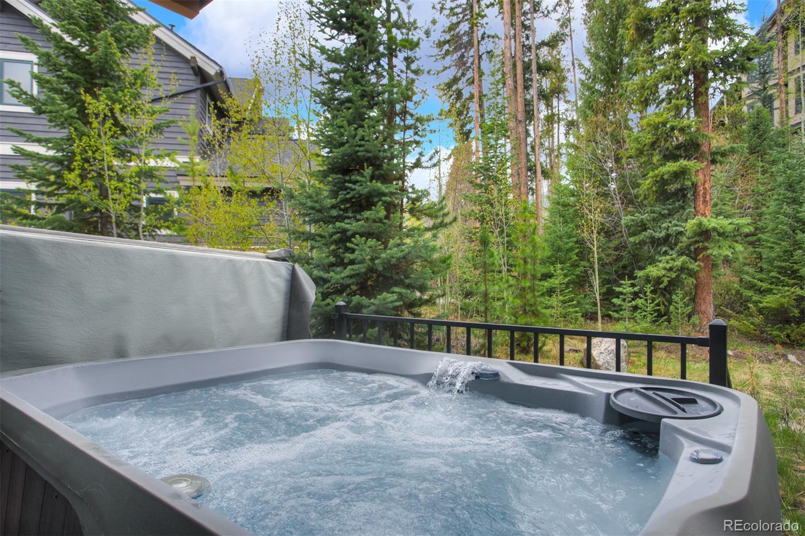 MLS Image #9 for 41  forest trail,winter park, Colorado