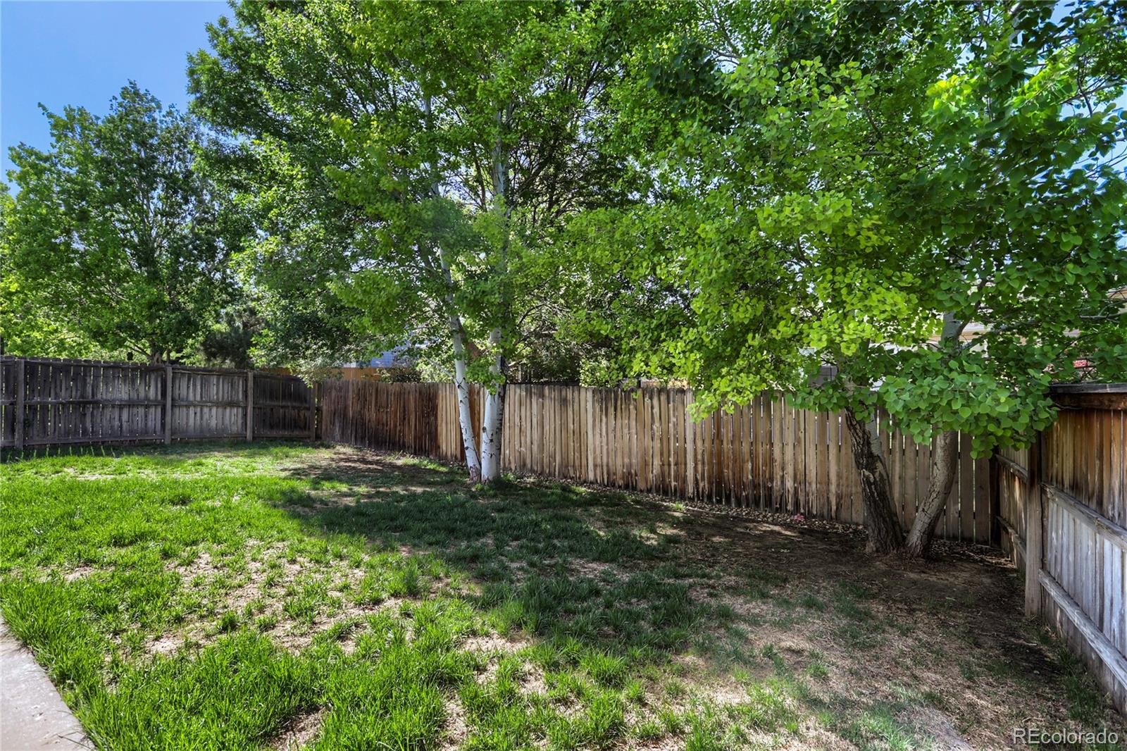 MLS Image #24 for 654  foxtail way,windsor, Colorado