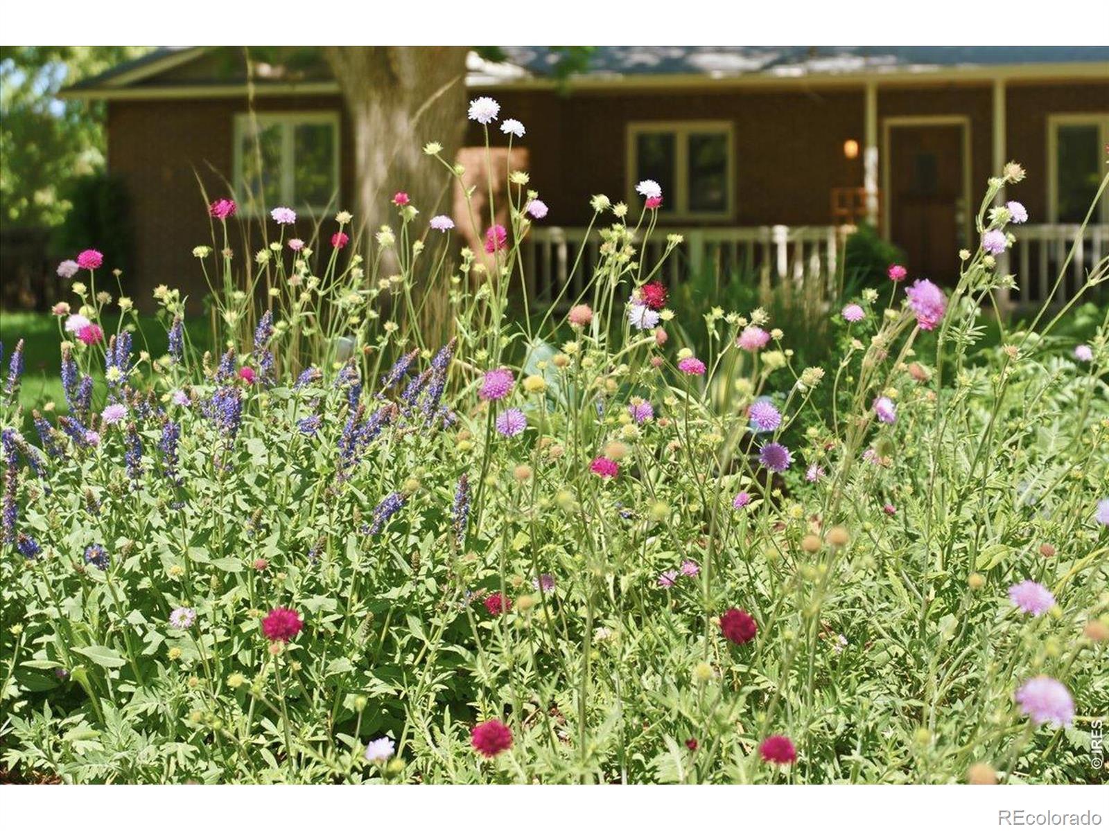 MLS Image #40 for 2806  middlesborough court,fort collins, Colorado