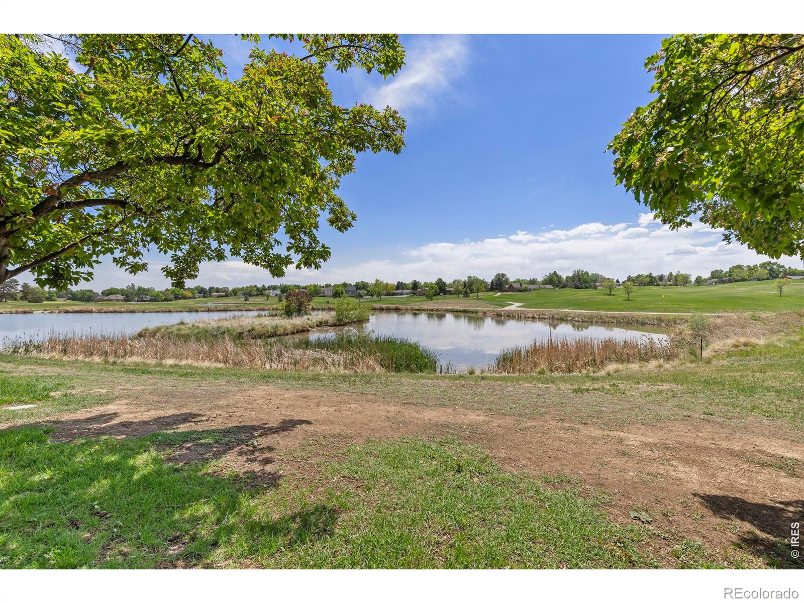 MLS Image #27 for 1546 w 29th street,loveland, Colorado