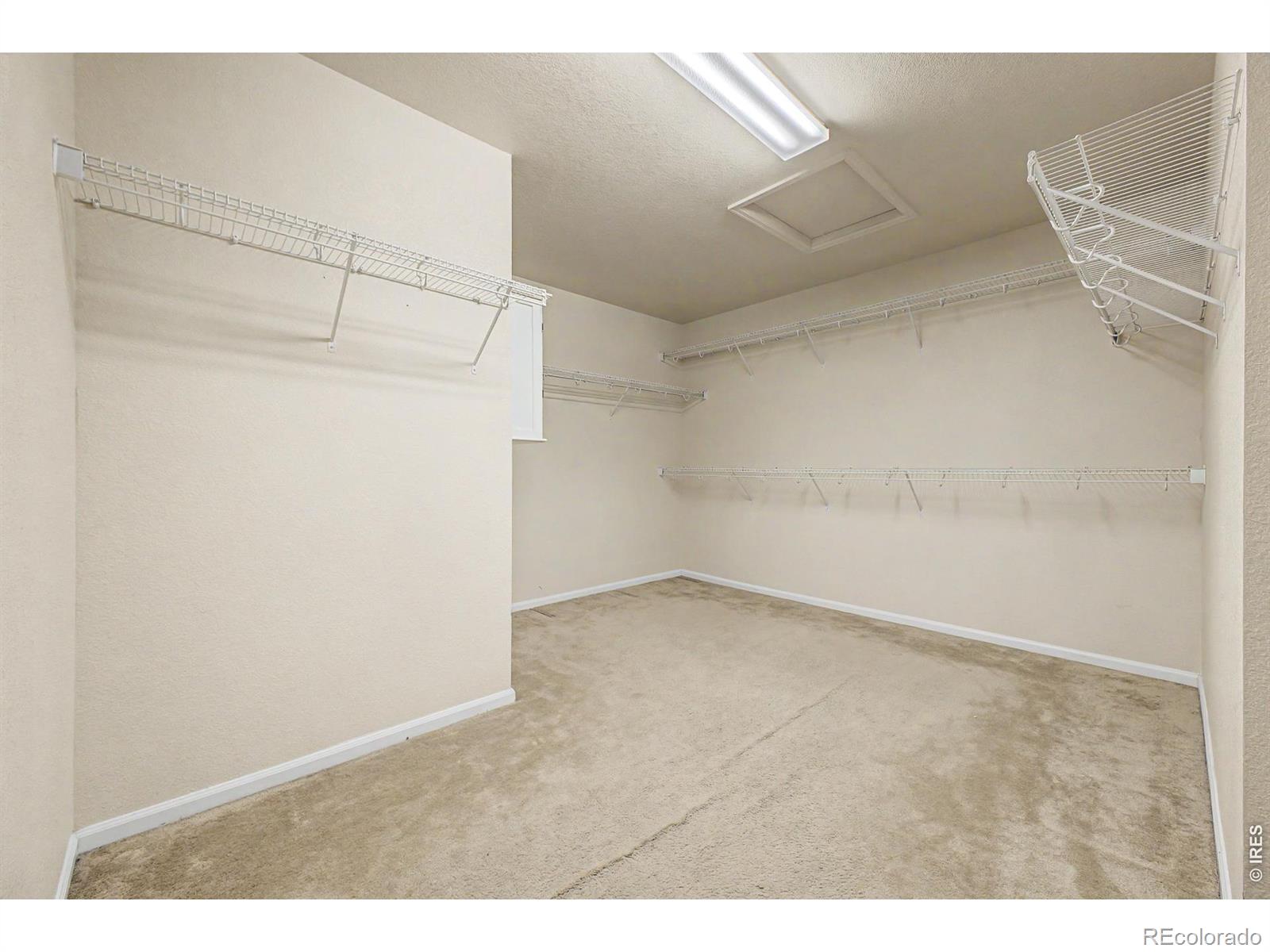 MLS Image #18 for 924  mircos street,erie, Colorado
