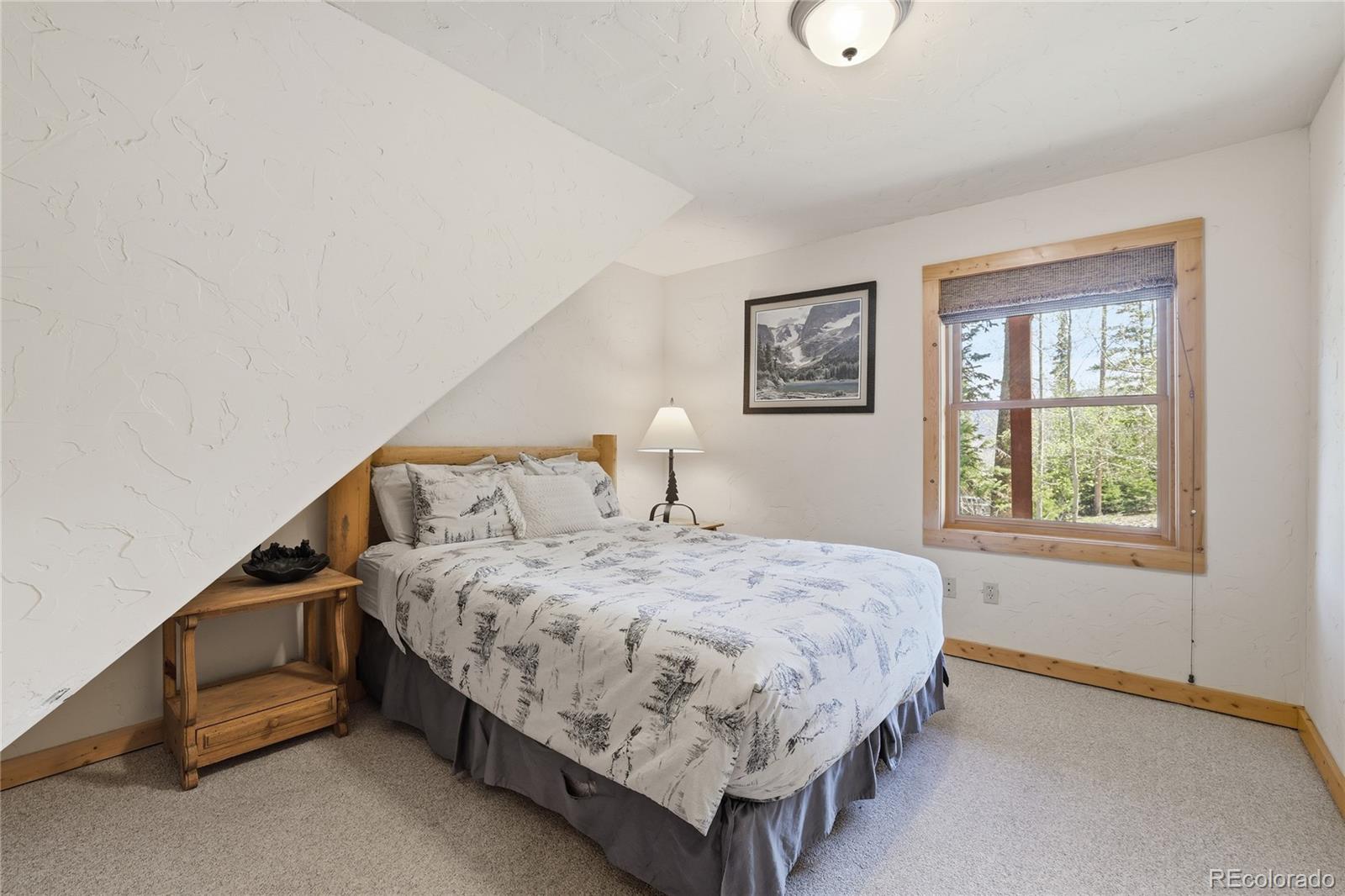 MLS Image #26 for 1701  cutty sark court,silverthorne, Colorado