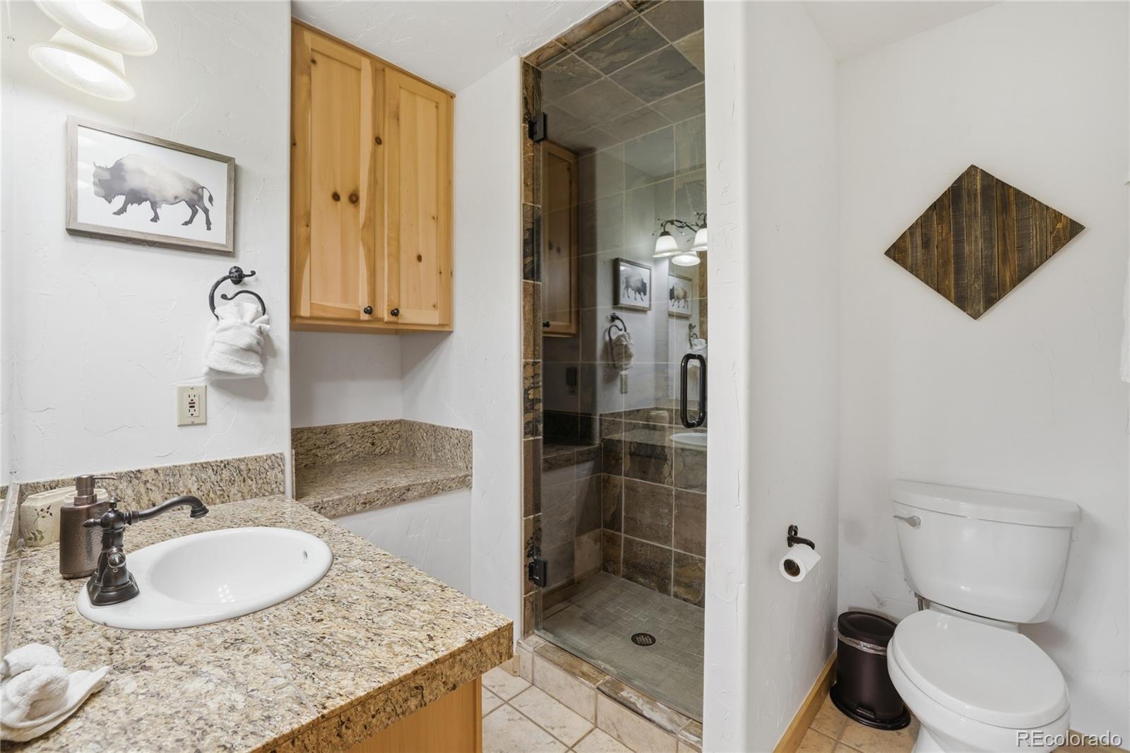 MLS Image #29 for 1701  cutty sark court,silverthorne, Colorado