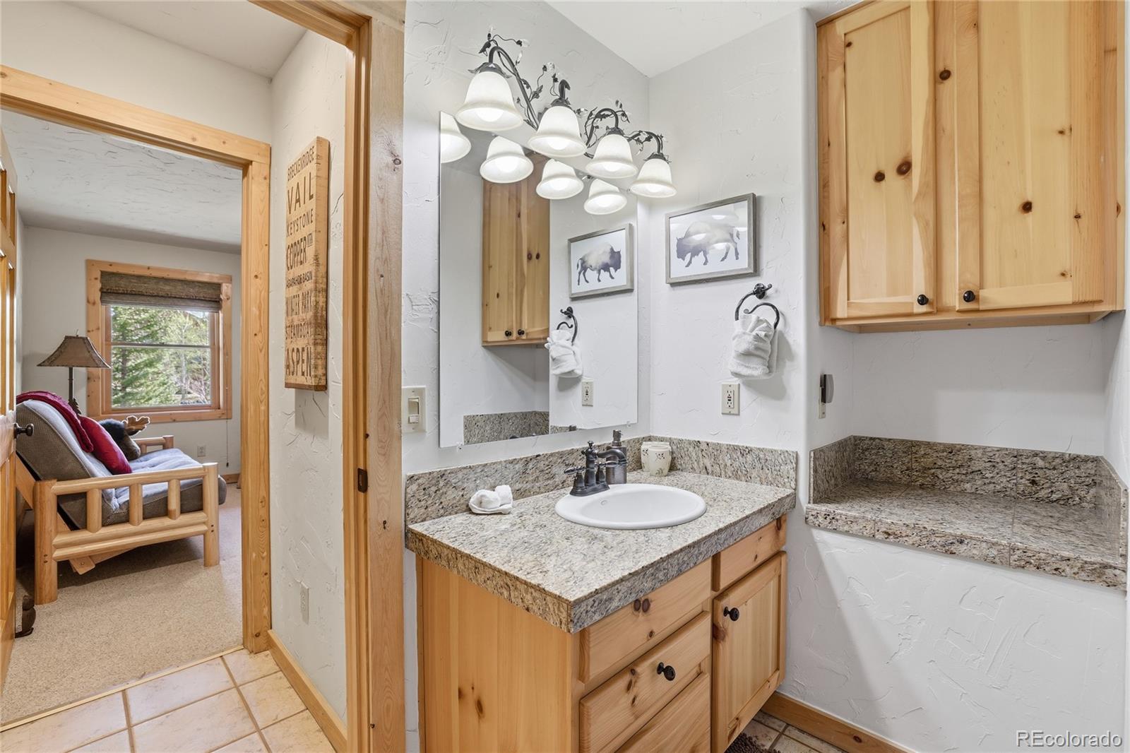MLS Image #30 for 1701  cutty sark court,silverthorne, Colorado