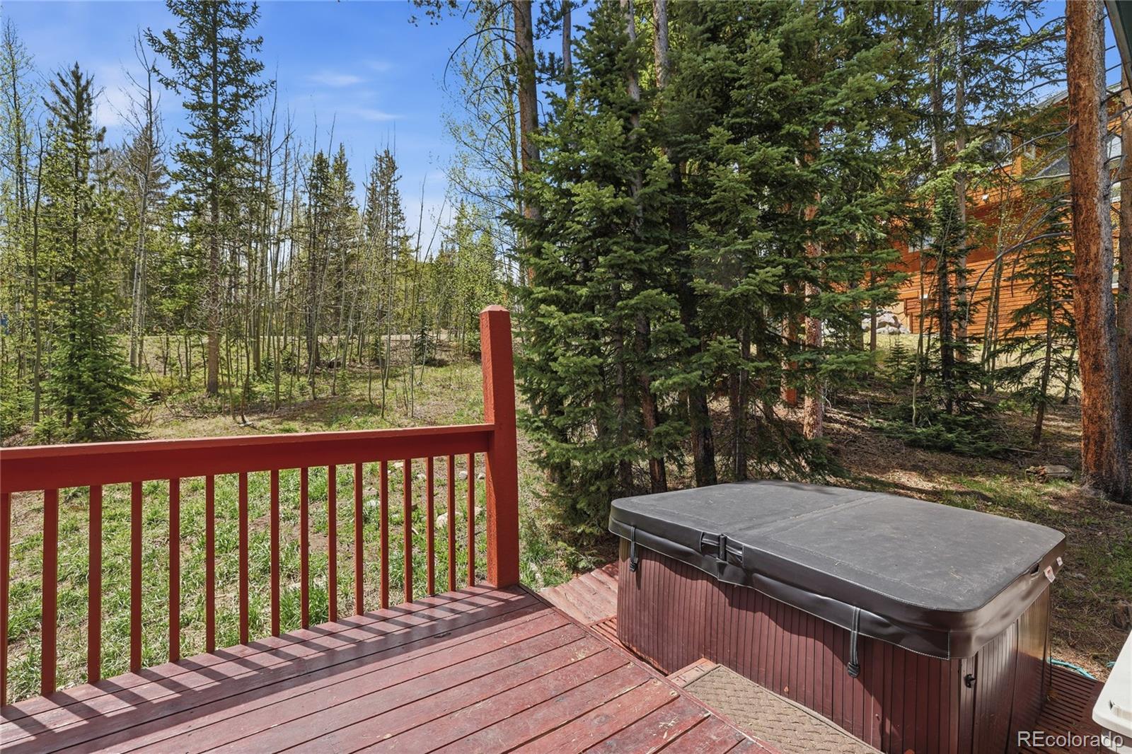 MLS Image #5 for 1701  cutty sark court,silverthorne, Colorado