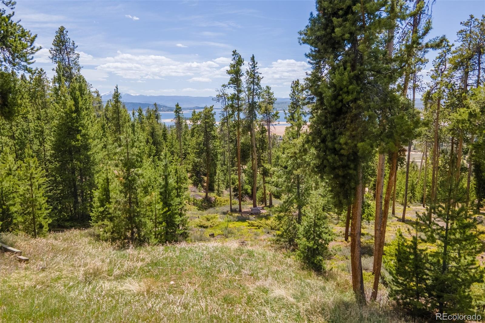 MLS Image #39 for 1880  grand county road 642 ,grand lake, Colorado